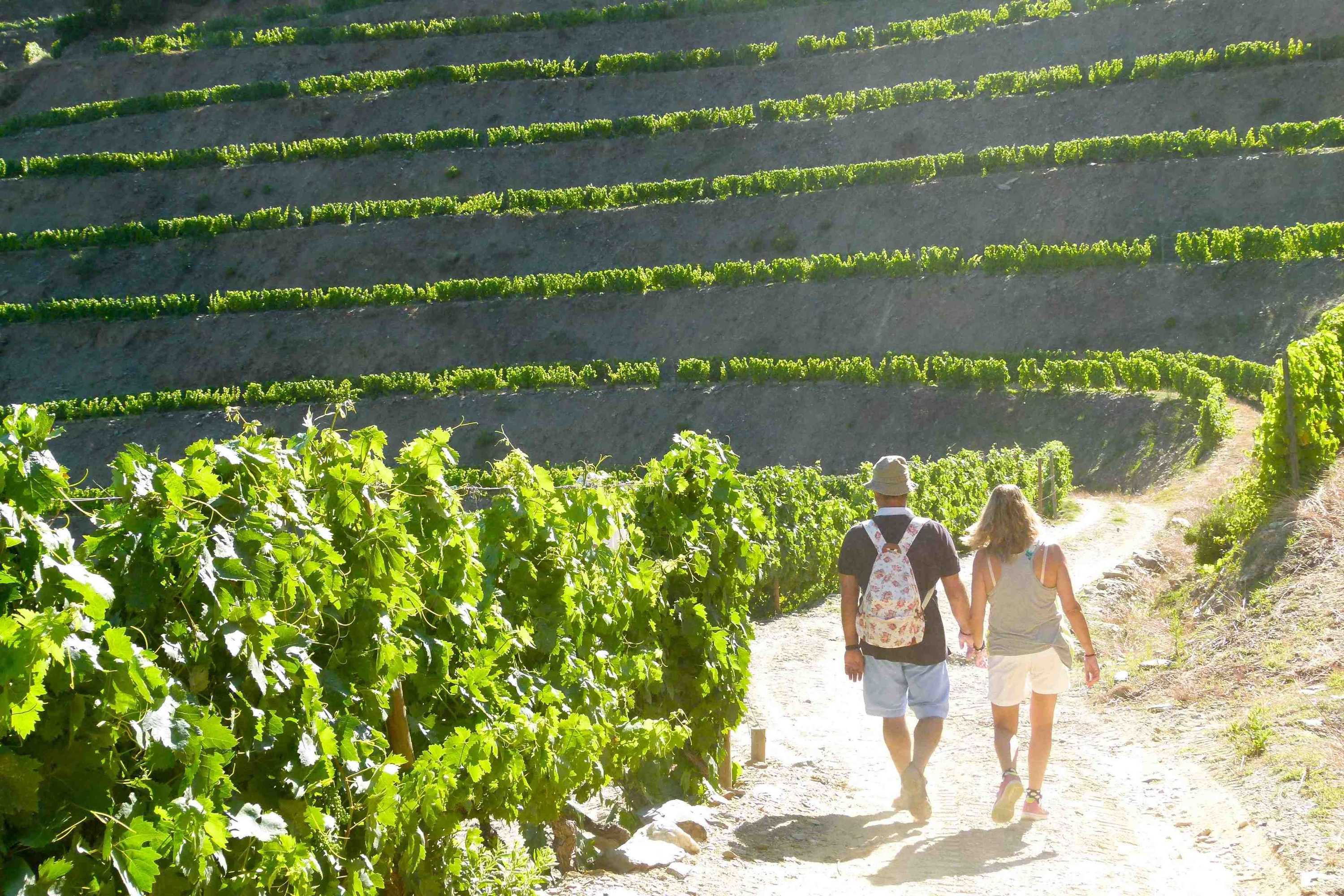 Gift card for Quinta de la Rosa