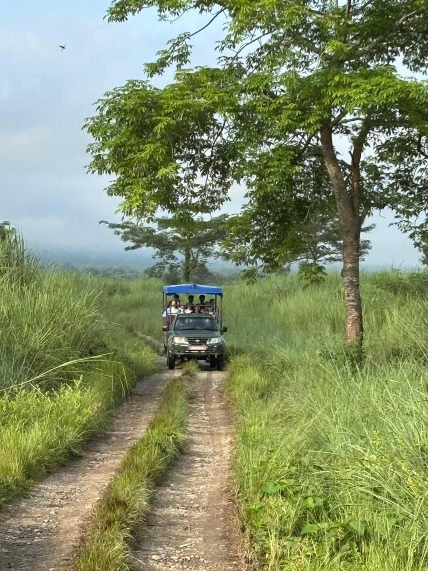 Gift card for Green Park Chitwan