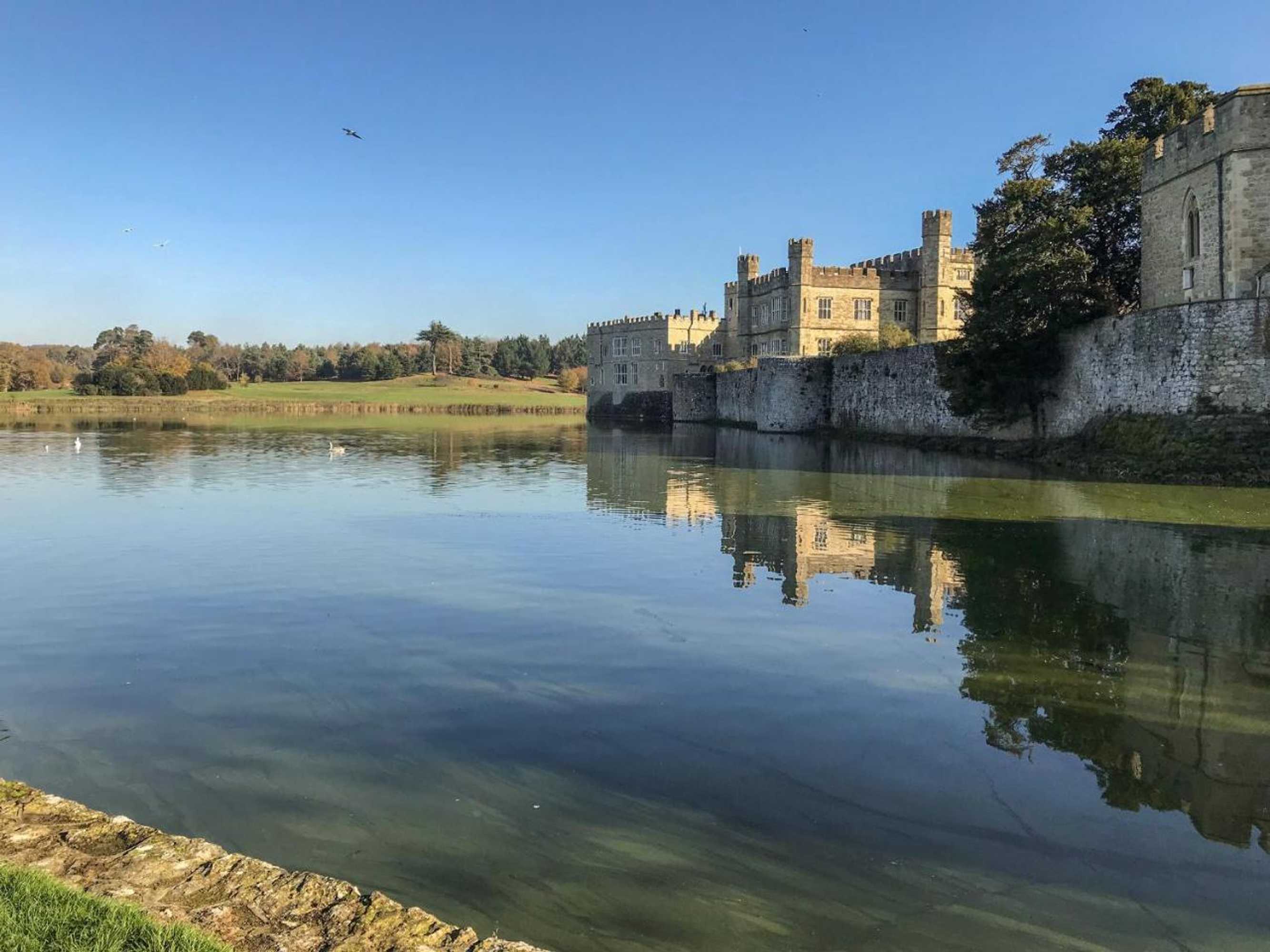 Gift card for Knights Cottage