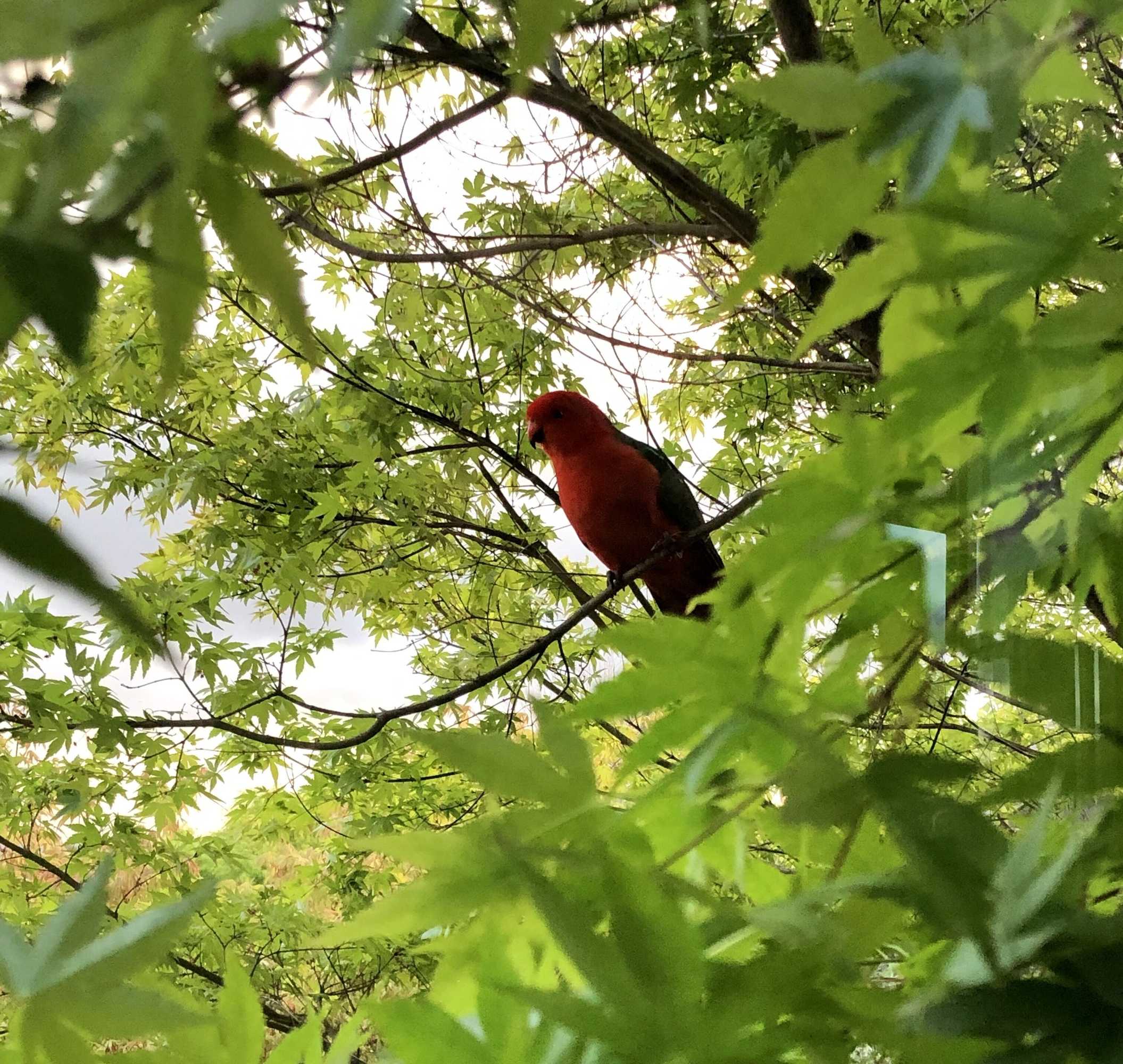 Gift card for The Studio Yarra Valley