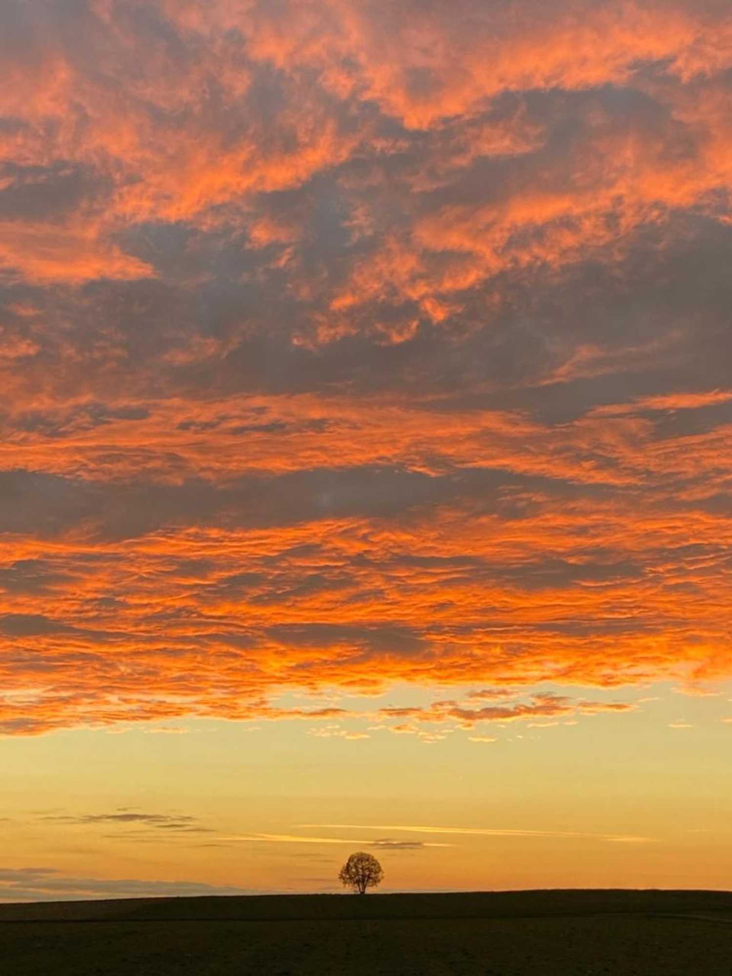 Gift card for Chalet Landsberg