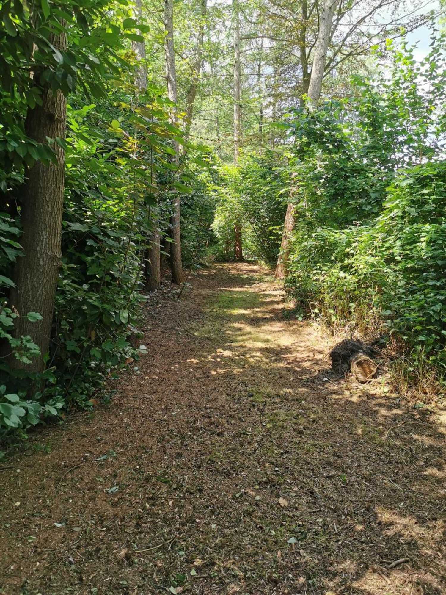 Gift card for Gastenverblijf 't Oelengoor