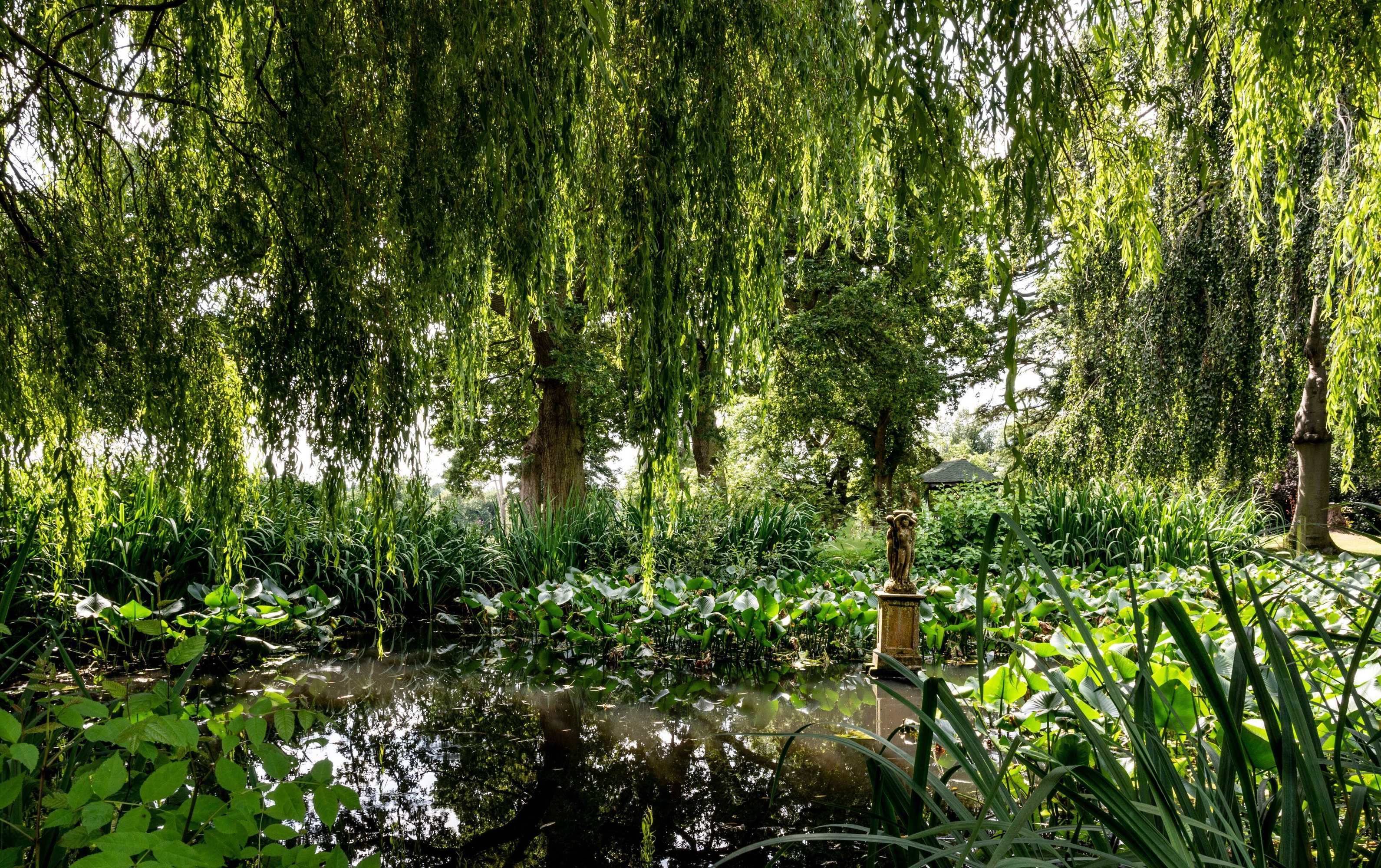 Gift card for Rookery Hall Hotel & Spa - Hand Picked Hotels Gift card for Rookery Hall Hotel & Spa - Hand Picked Hotels