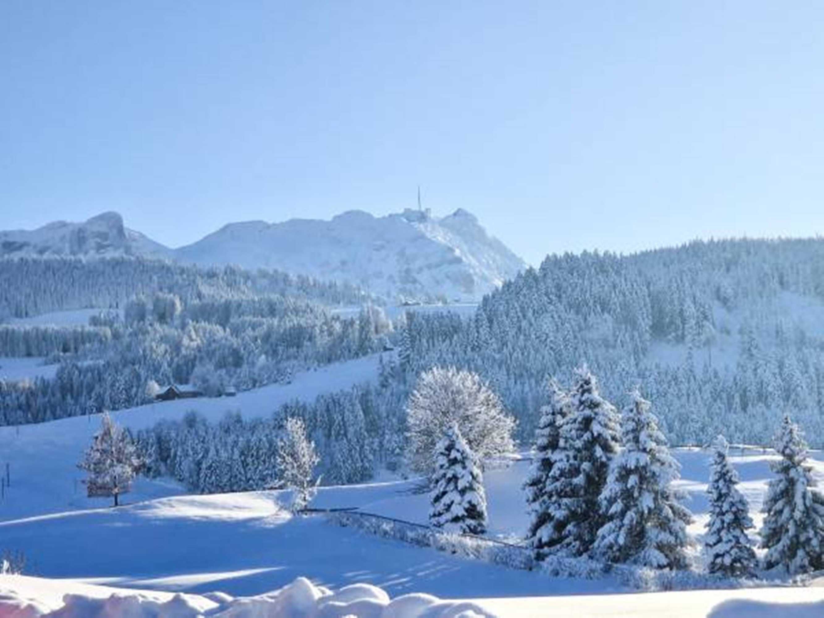 Gift card for Appenzeller Huus Huus Loewen Gift card for Appenzeller Huus Huus Loewen