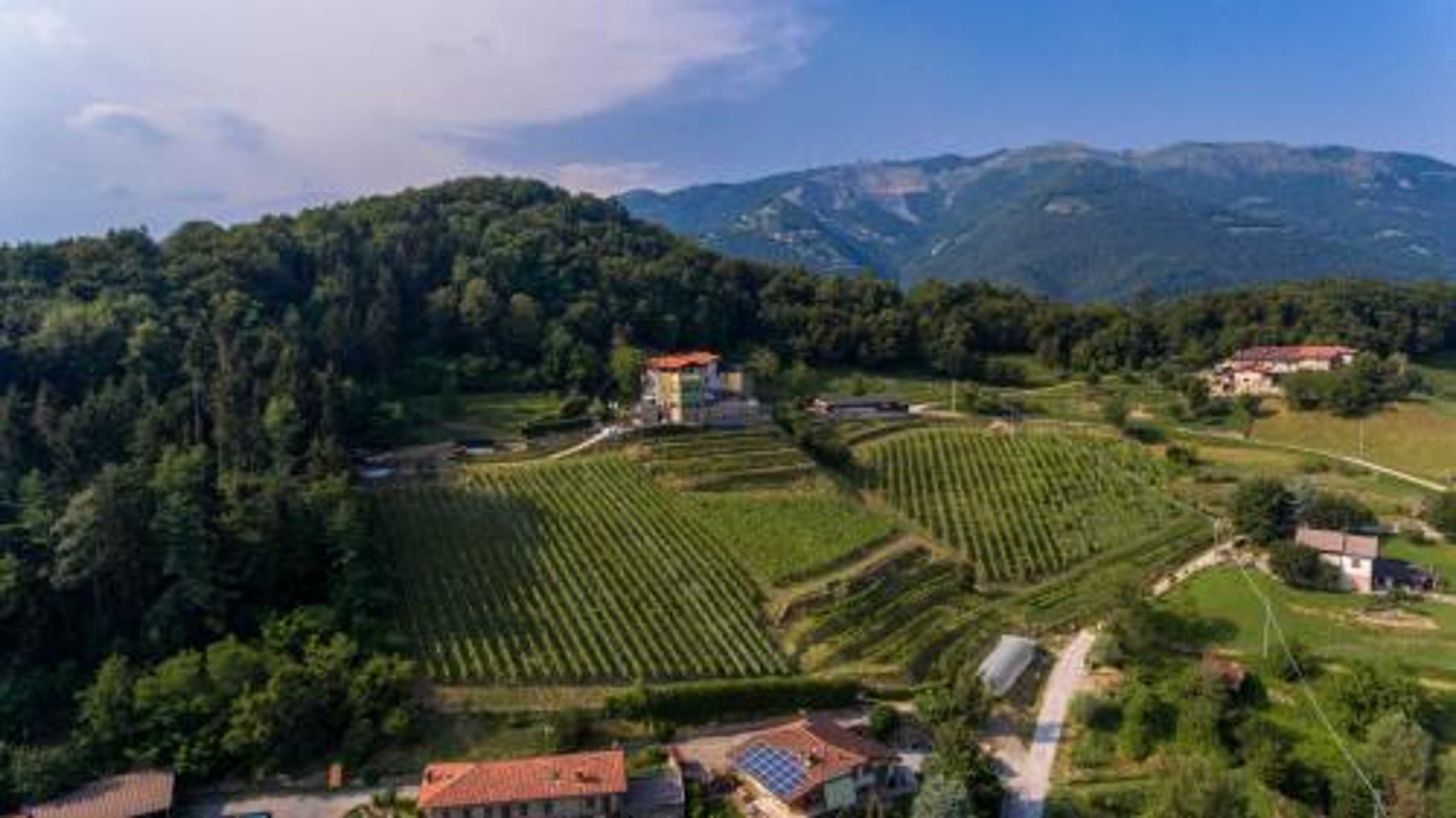 Gift card for Polisena L'altro Agriturismo Veg Gift card for Polisena L'altro Agriturismo Veg