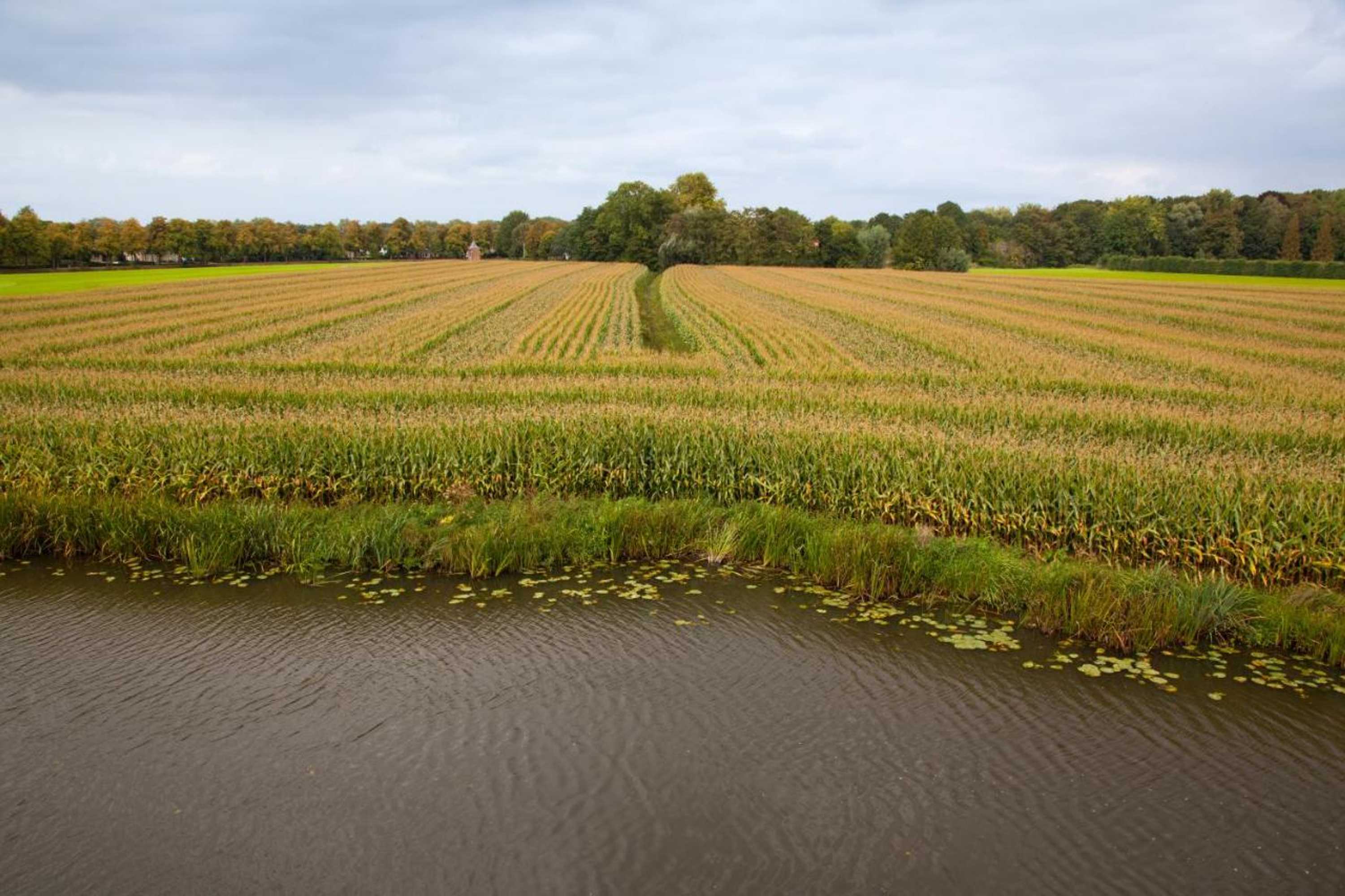 Gift card for Het Wapen Van Harmelen