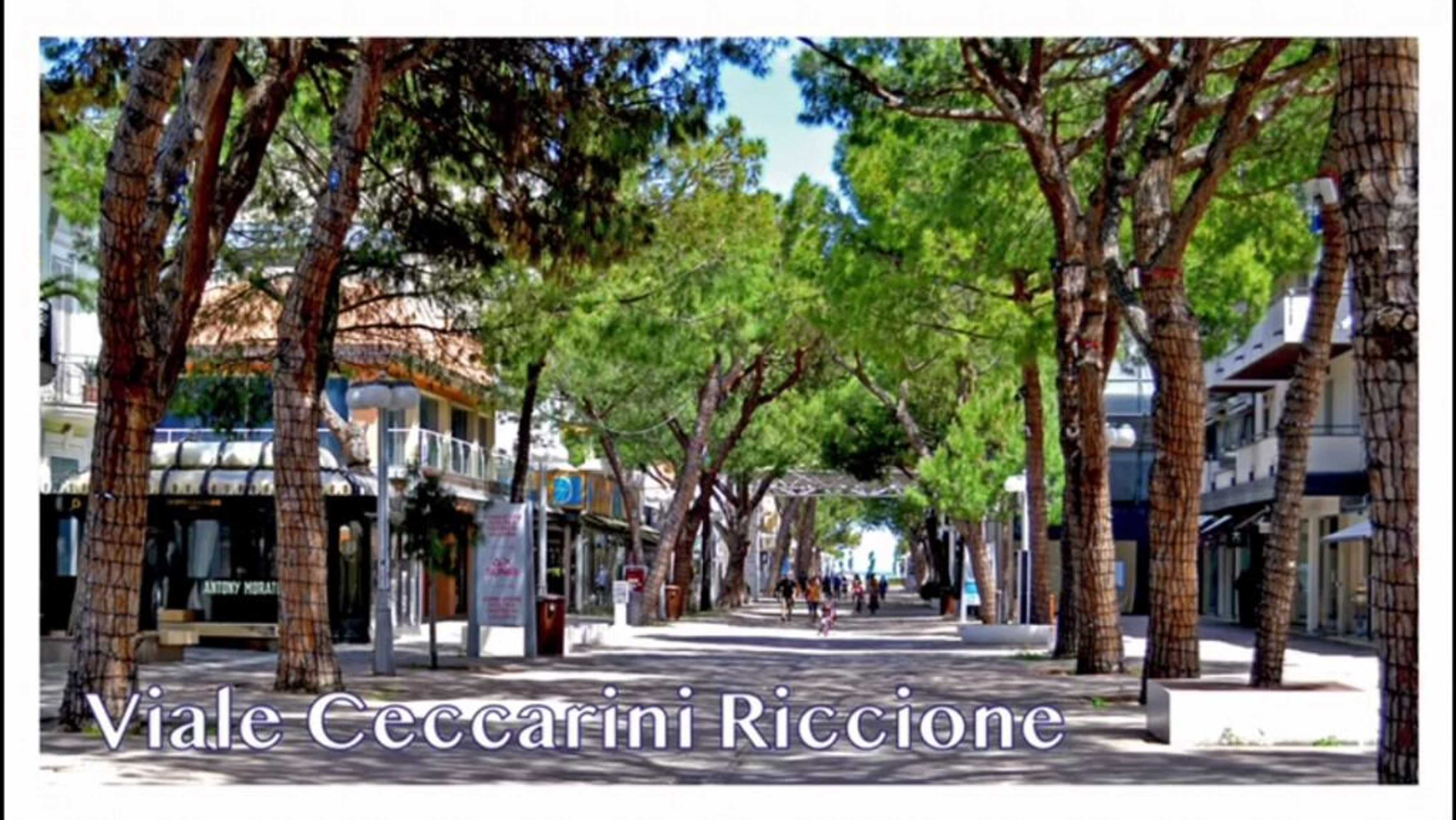 Gift card for La Valle Dei Caprioli Village Bungalow Park - Freelandia Azienda Agricola Gift card for La Valle Dei Caprioli Village Bungalow Park - Freelandia Azienda Agricola