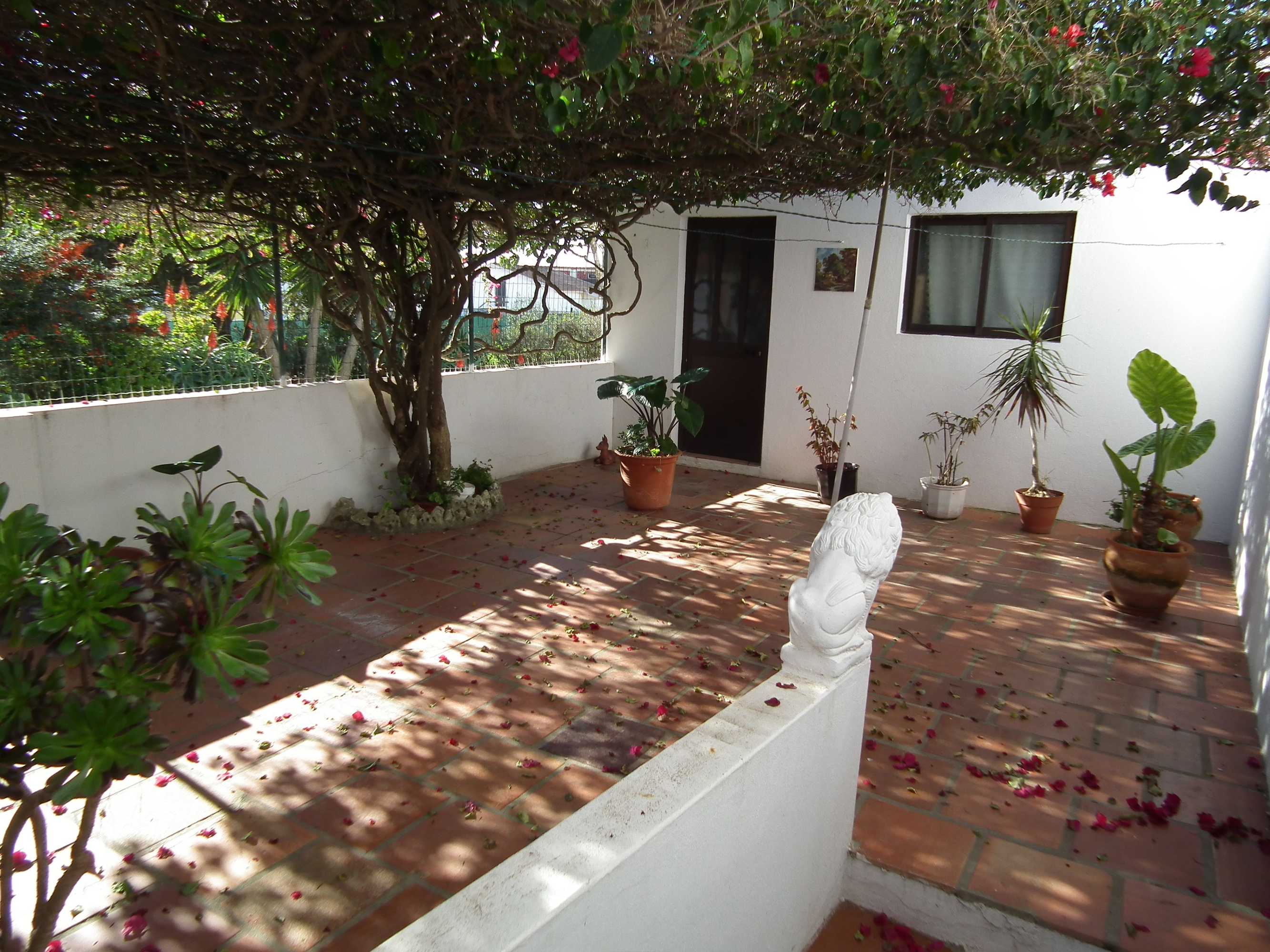 Gift card for Casa Vasco