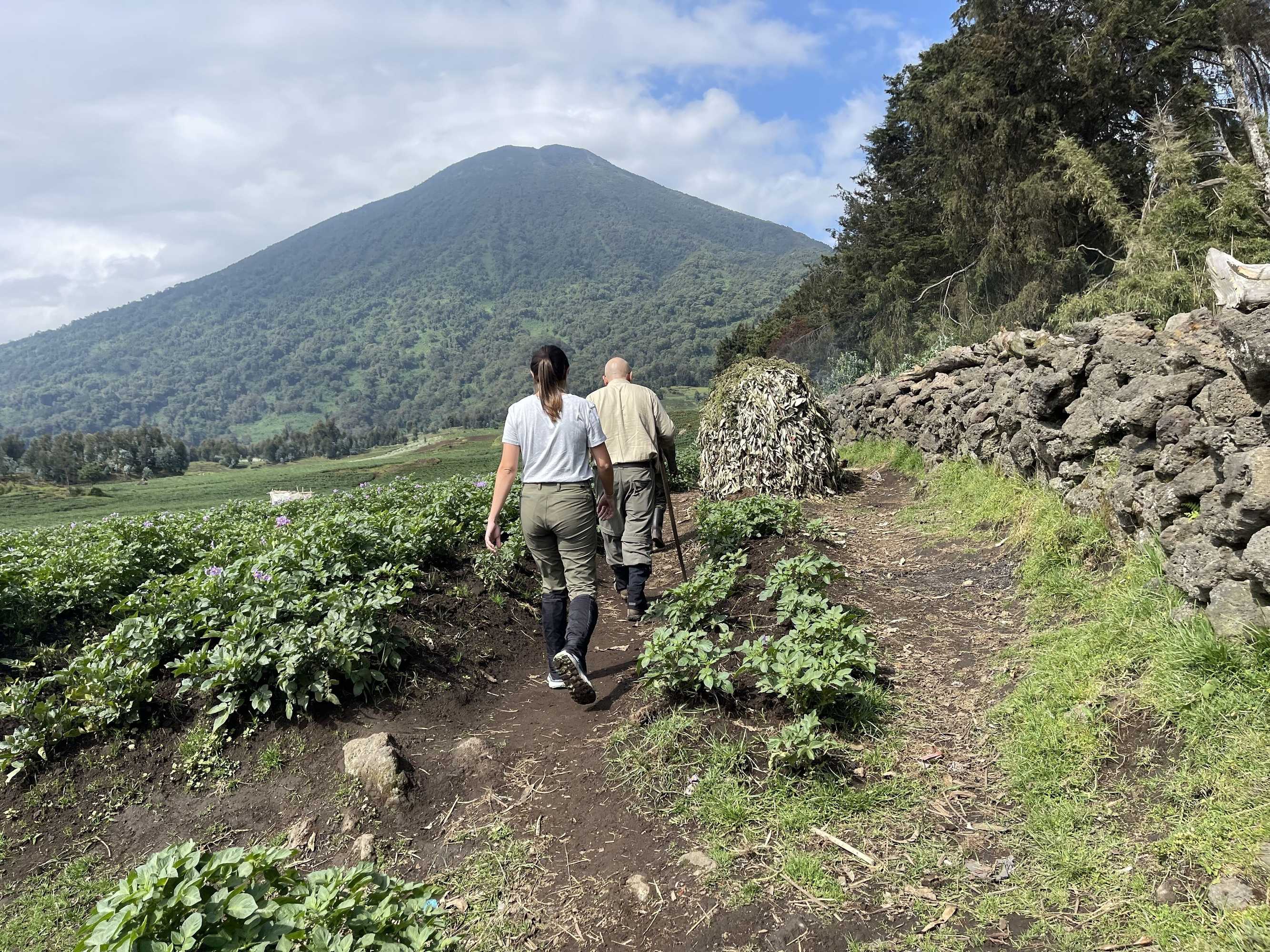 Gift card for Virunga Homestay & Campsites Gift card for Virunga Homestay & Campsites