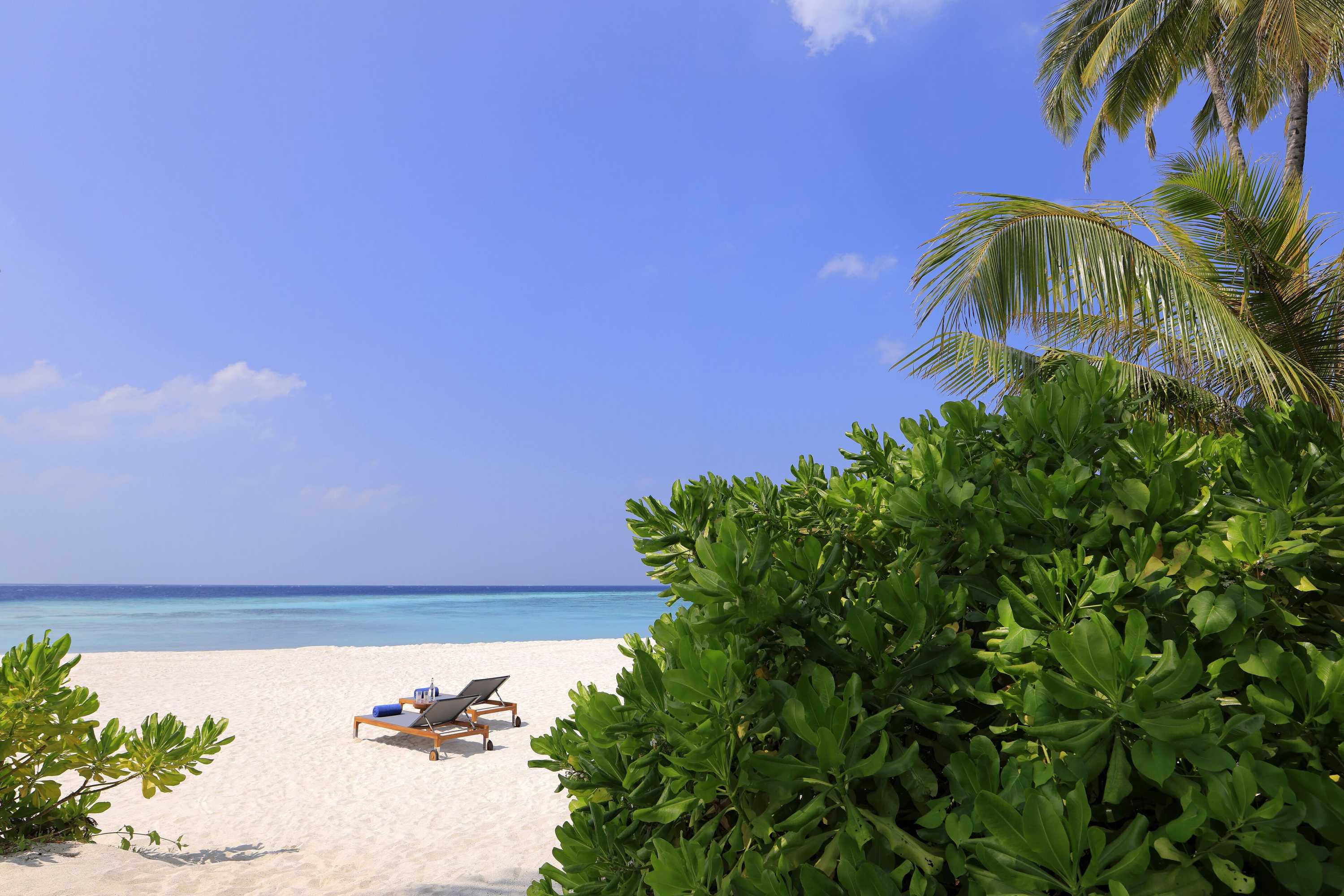 Gift card for Avani Plus Fares Maldives Resort - 50 Percent Off on Seaplane Transfer For Stays Until 22 December 2024 Gift card for Avani Plus Fares Maldives Resort - 50 Percent Off on Seaplane Transfer For Stays Until 22 December 2024