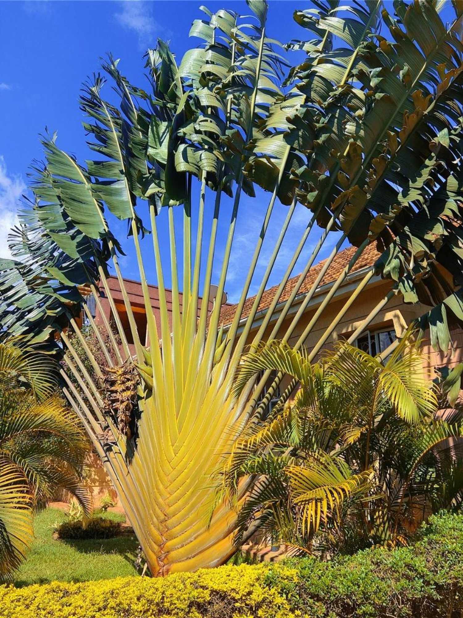 Gift card for Airport Link Guest House