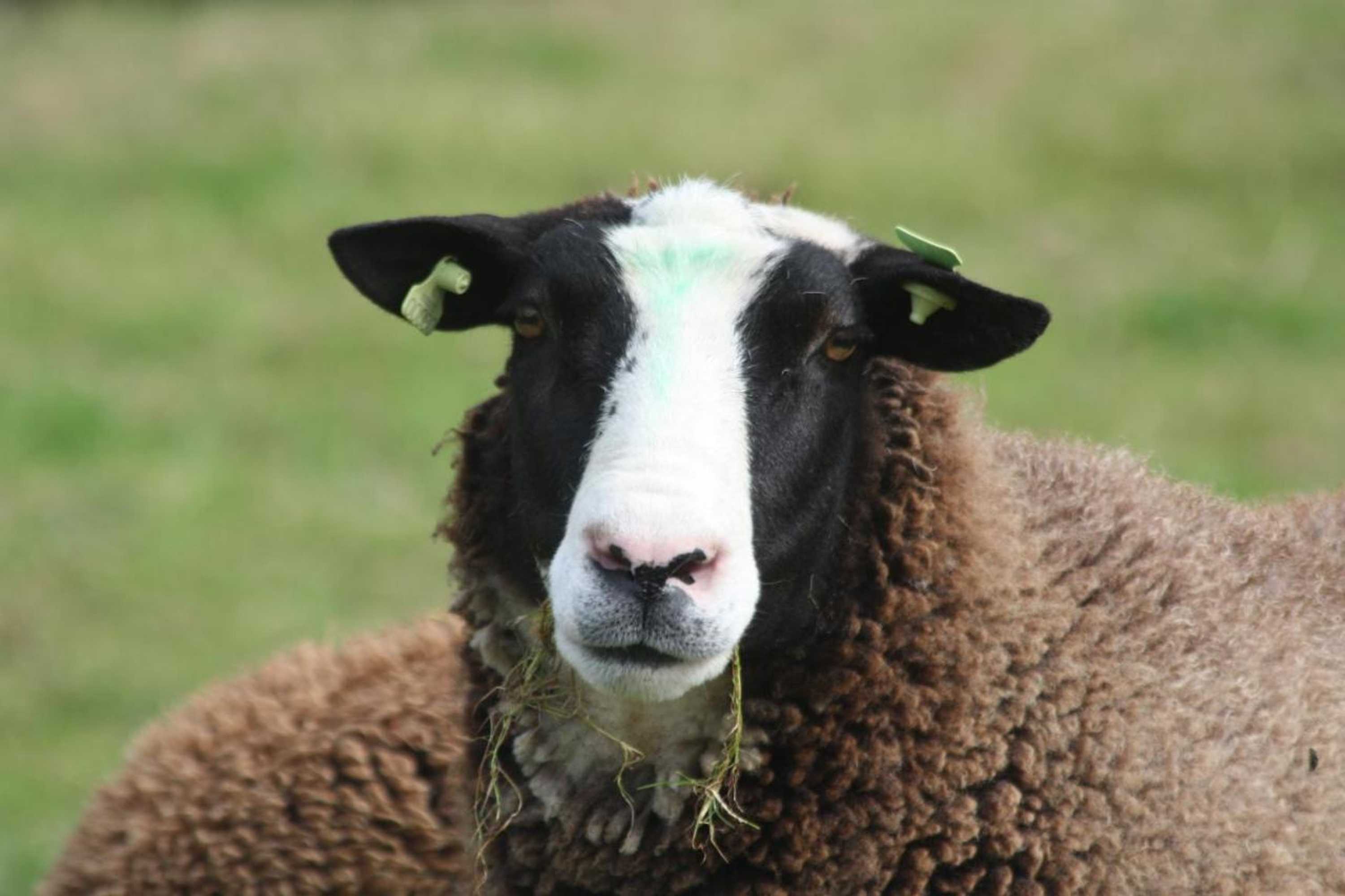 Gift card for Logerenbijonsz