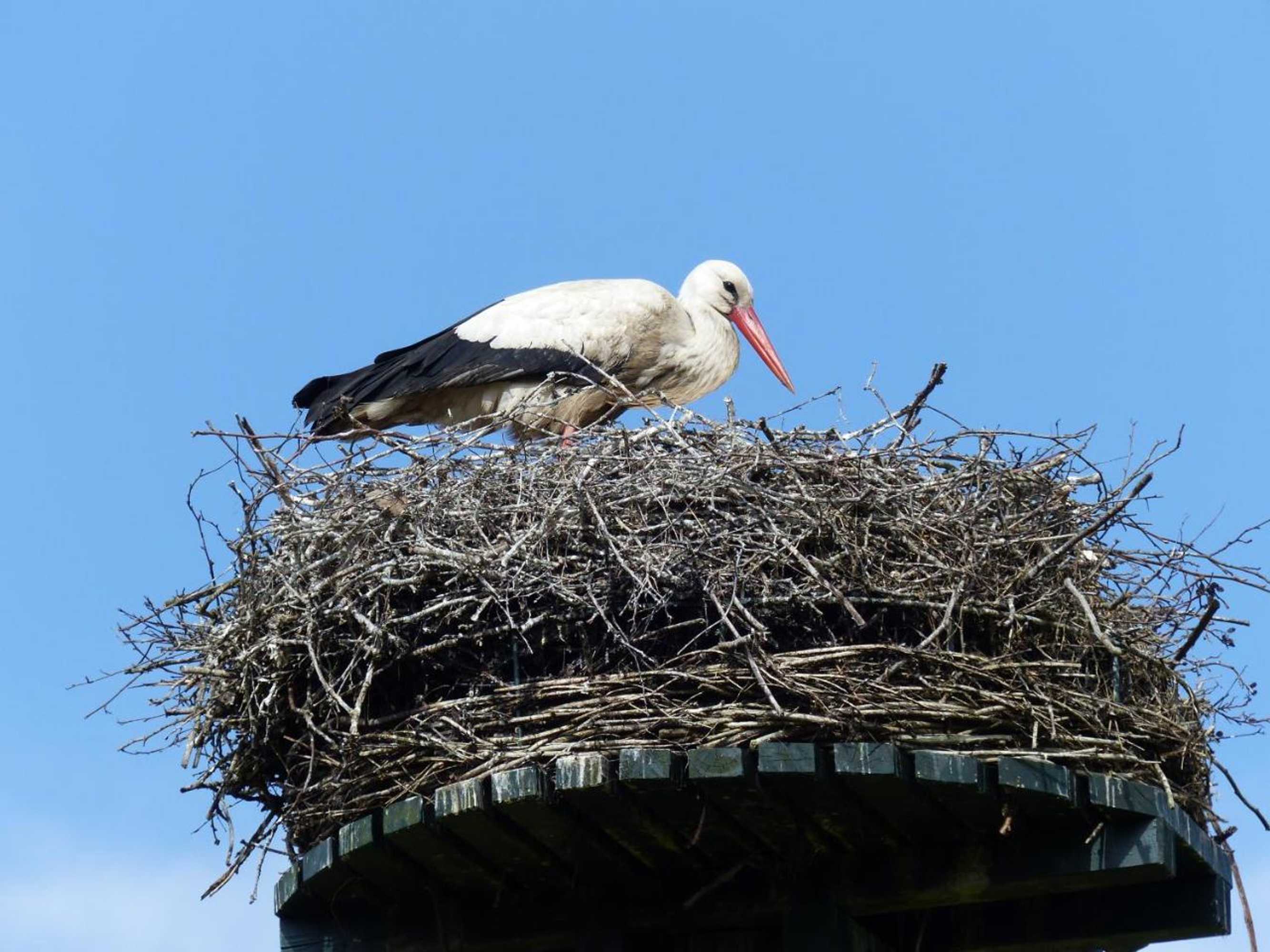 Gift card for Herberg De Eexter Os