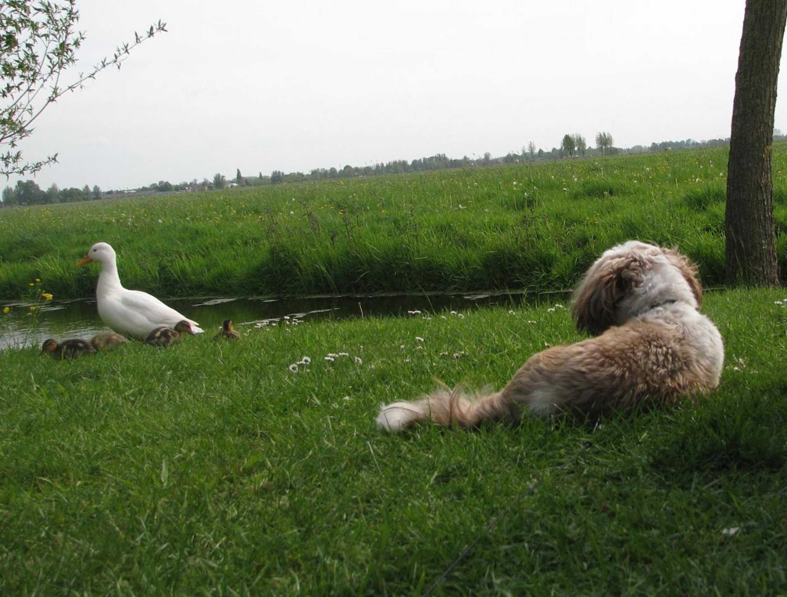 Gift card for Camping De Grienduil