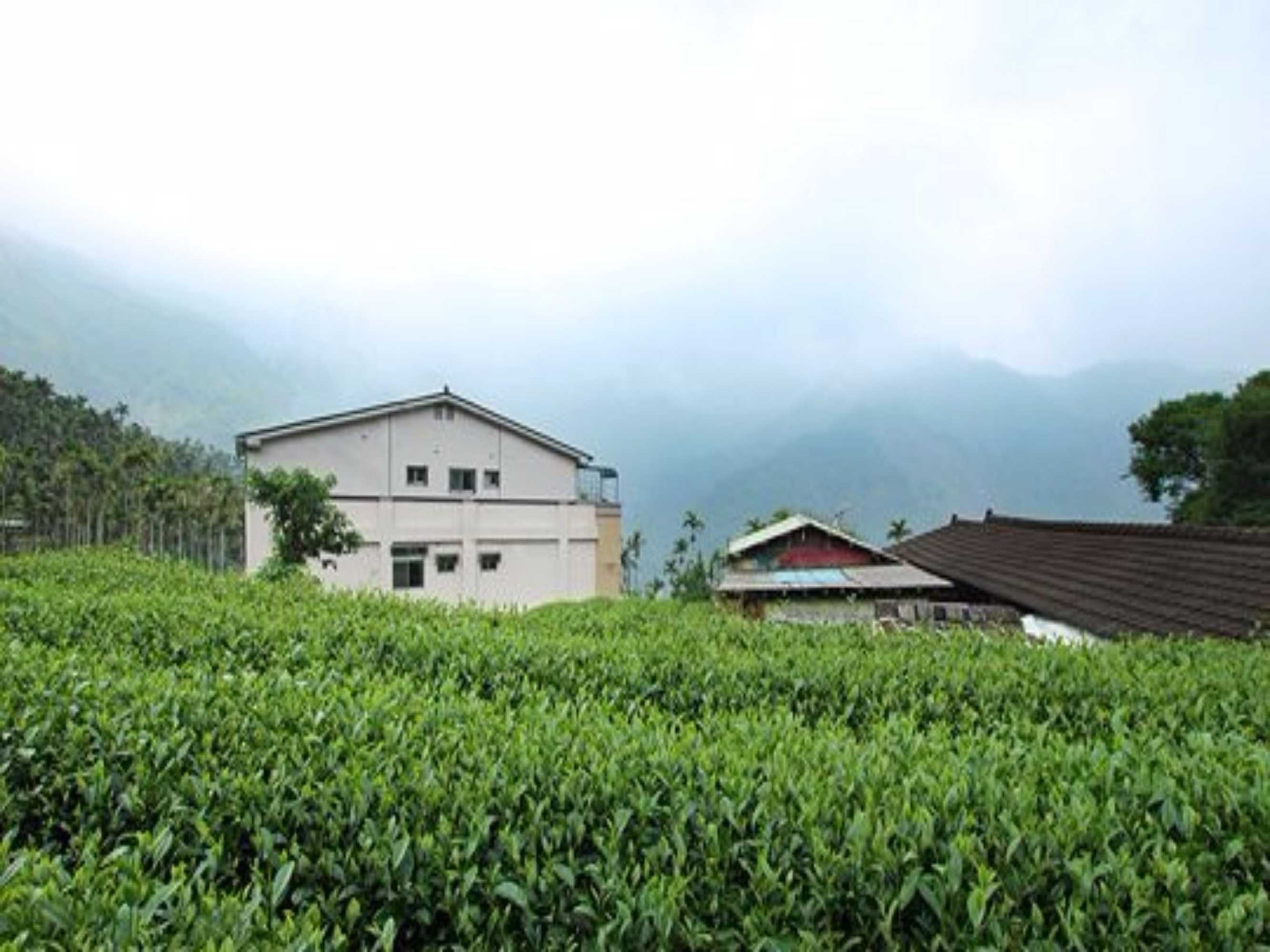 Gift card for Deren Tea Garden B&b