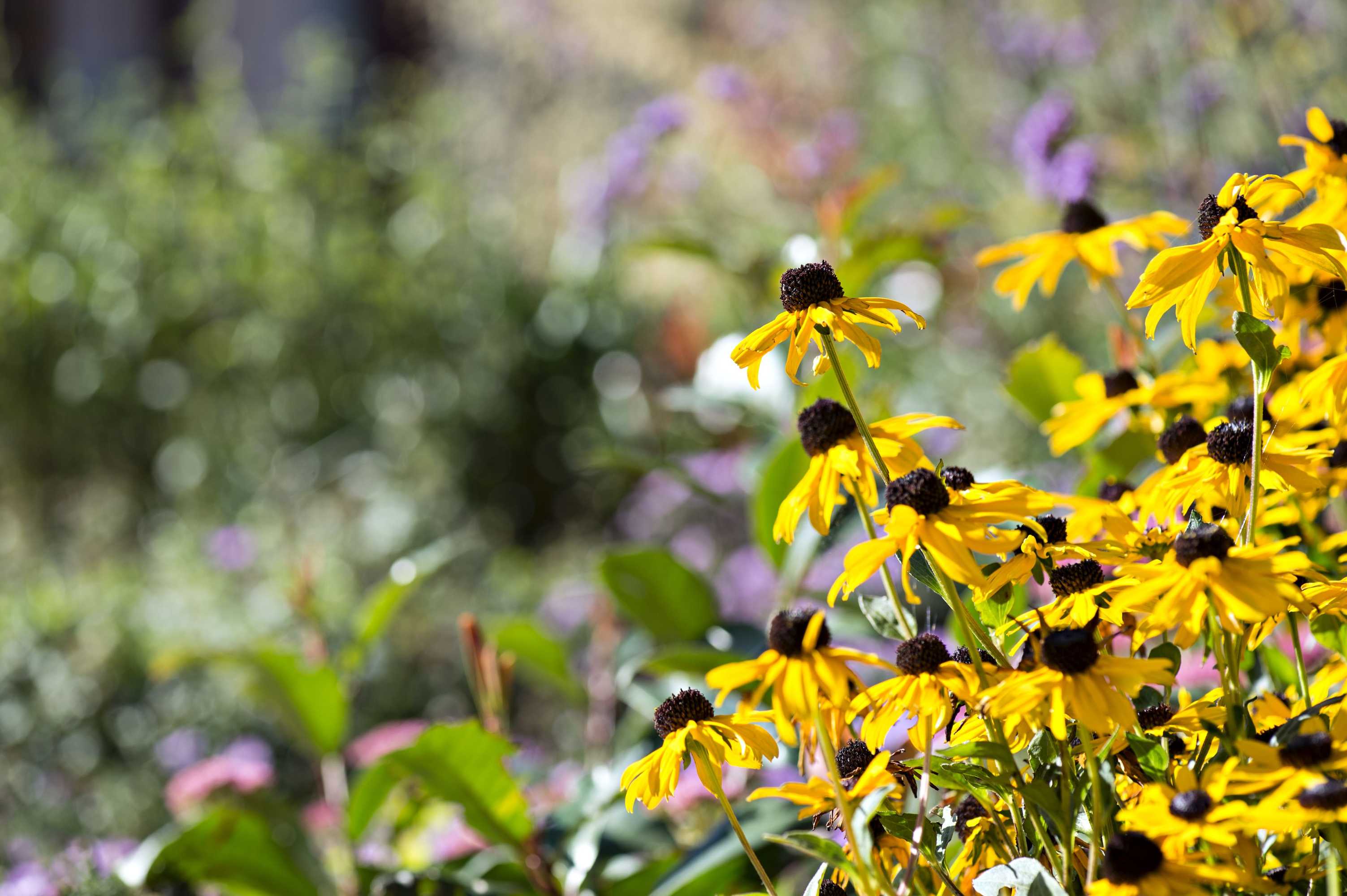 Gift card for The Link Hotel Loughborough