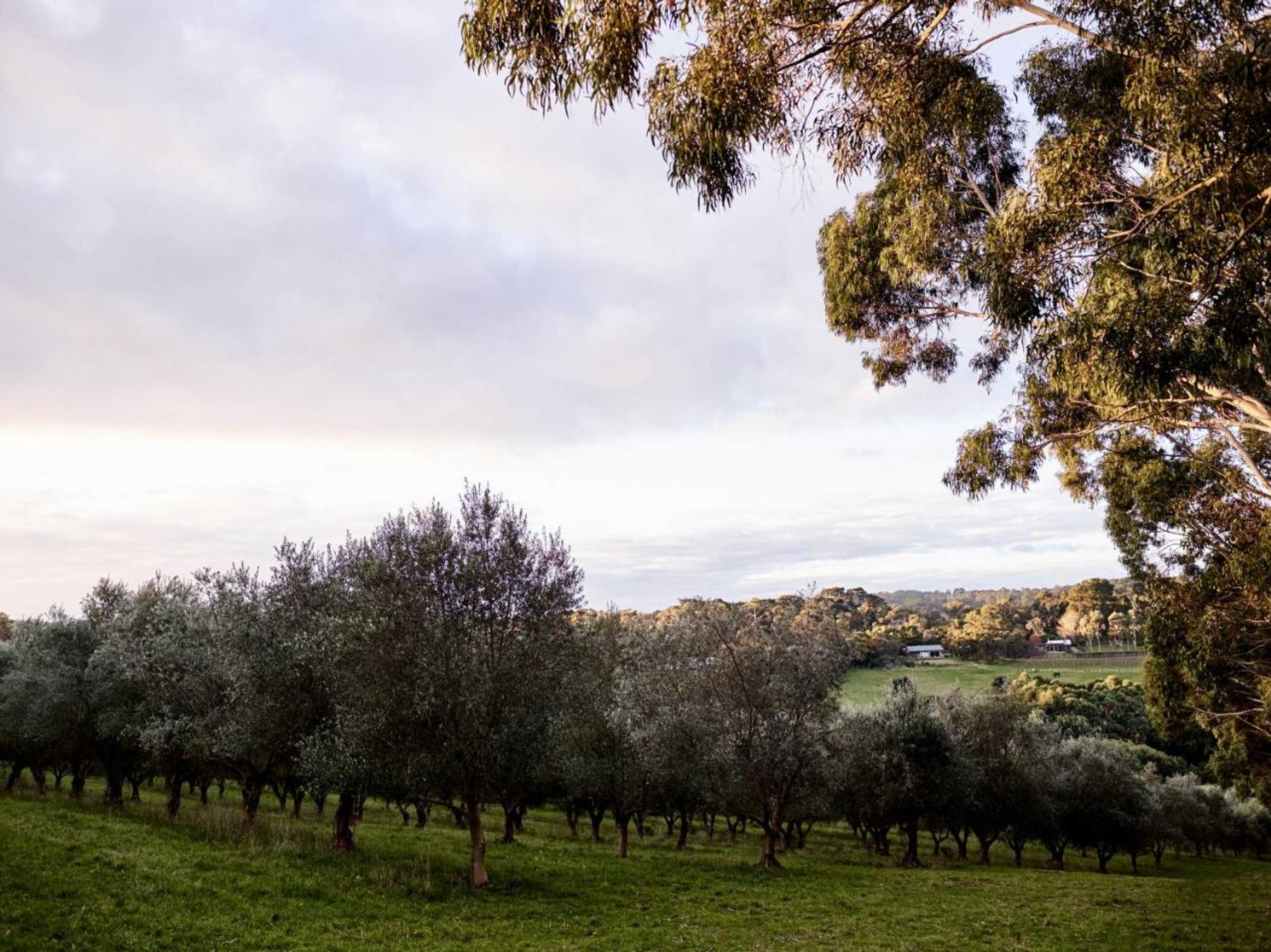 Gift card for Hart's Farm