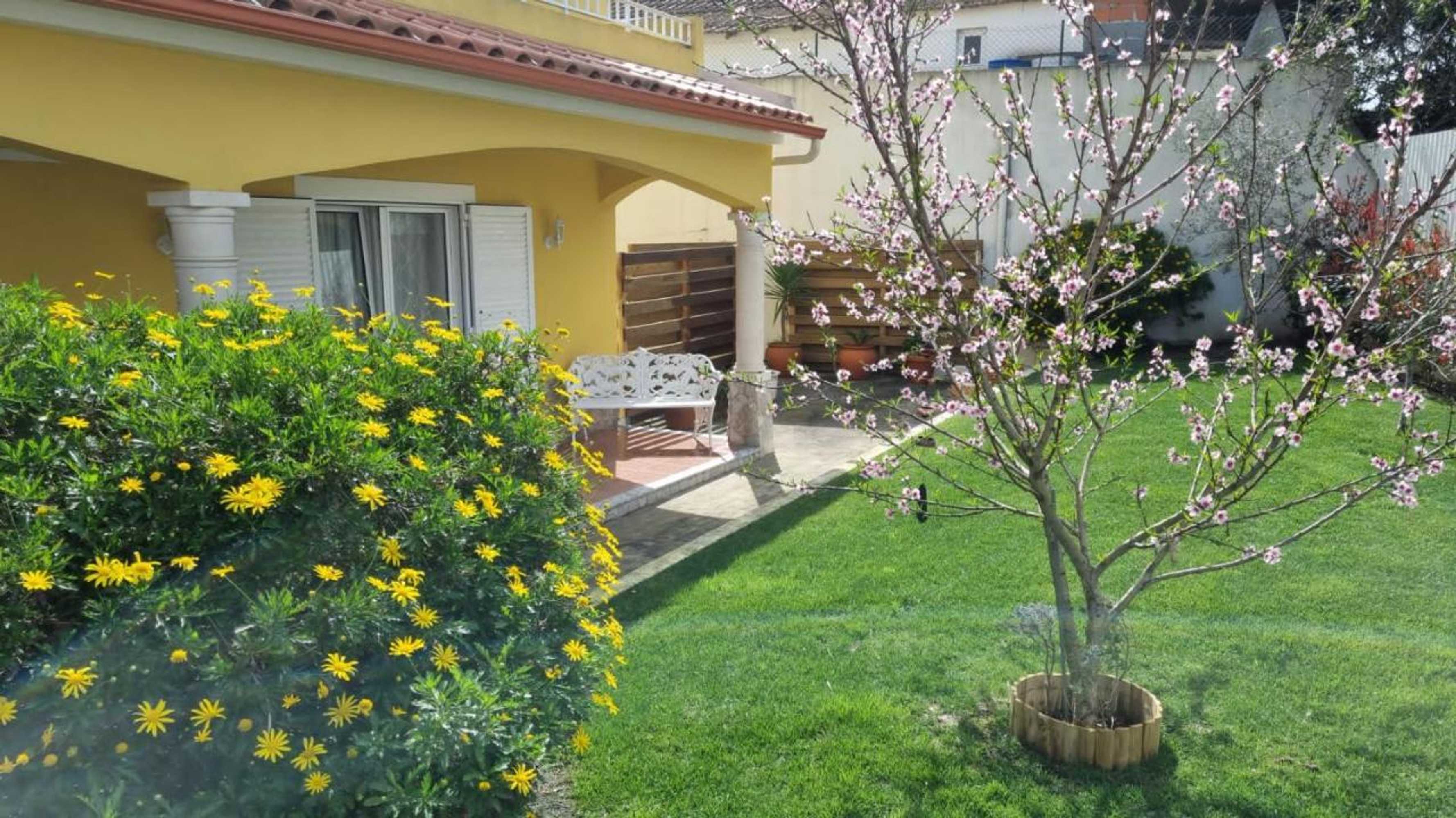 Gift card for Casa Das Palmas