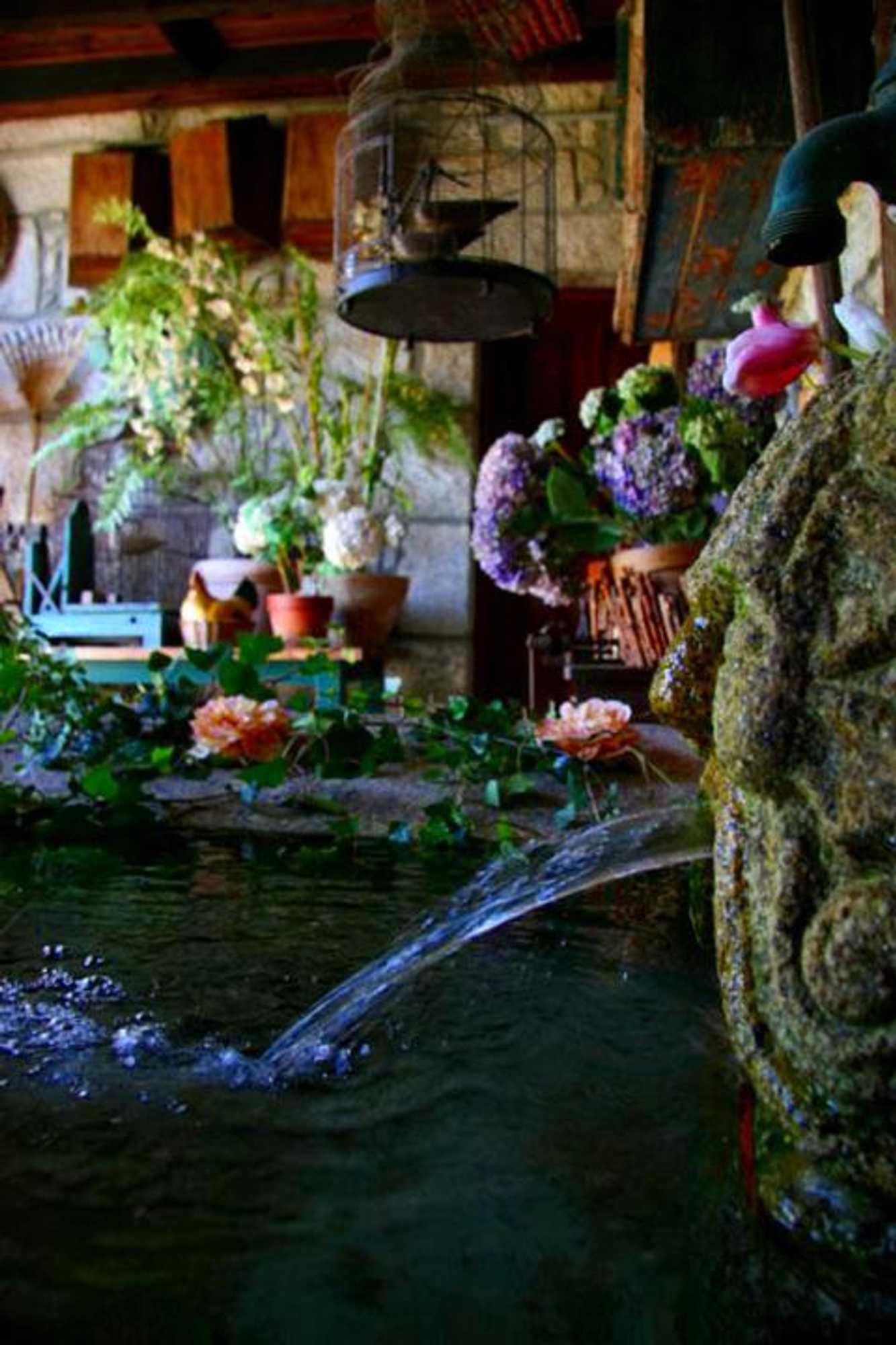 Gift card for Quinta de Valverde