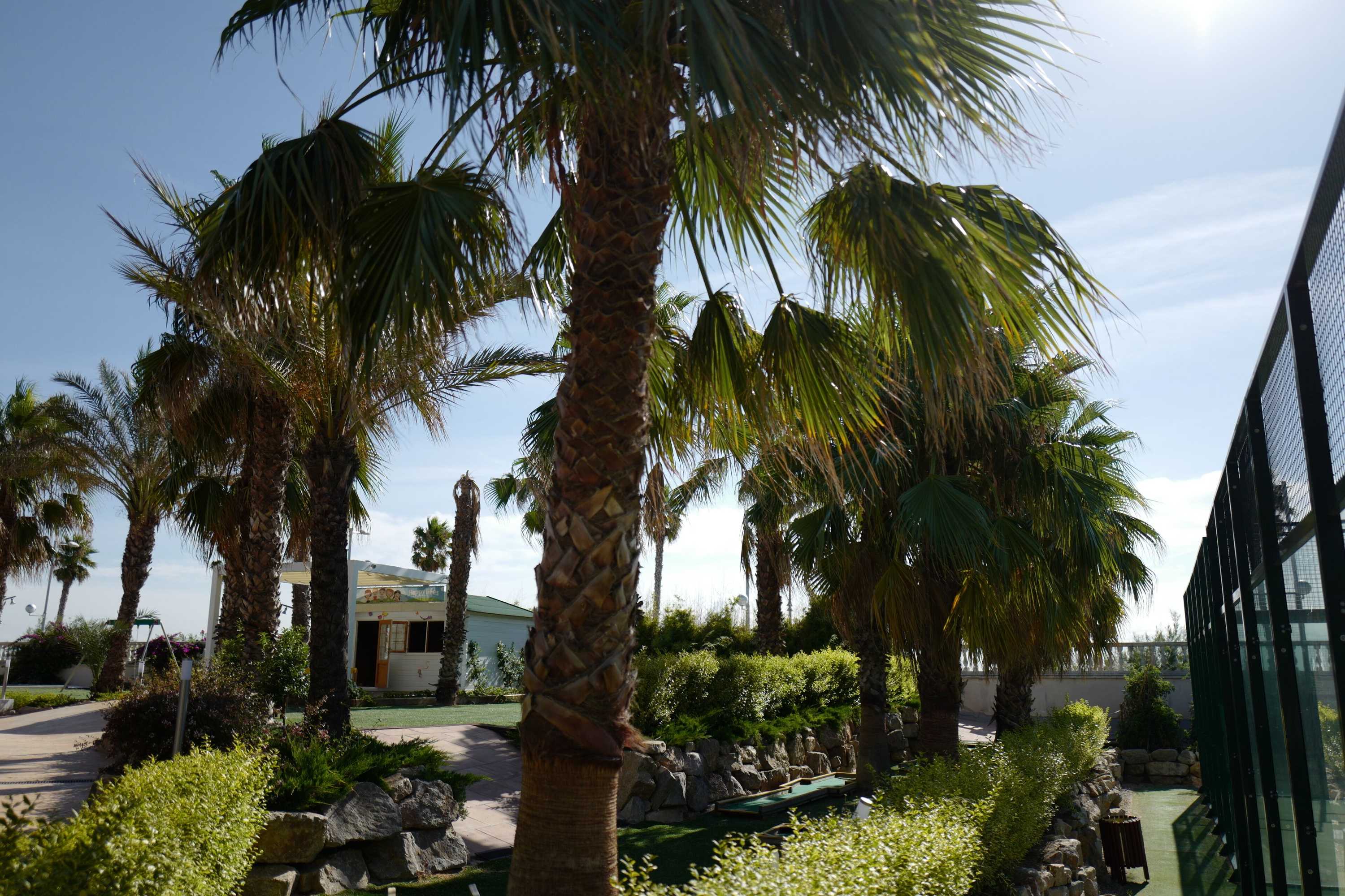 Gift card for Gran Palas Hotel - Spa Incluido Gift card for Gran Palas Hotel - Spa Incluido