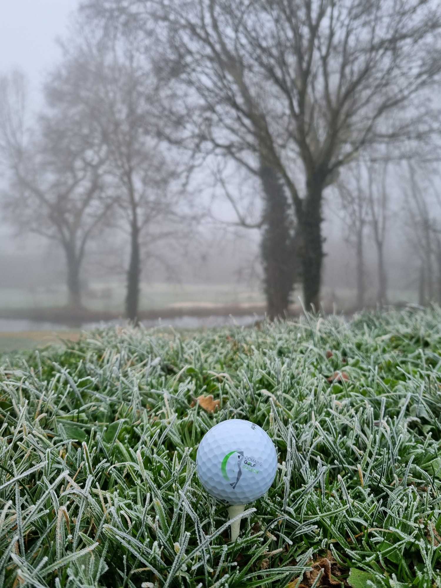 Gift card for Best Western Golf D'albon Gift card for Best Western Golf D'albon