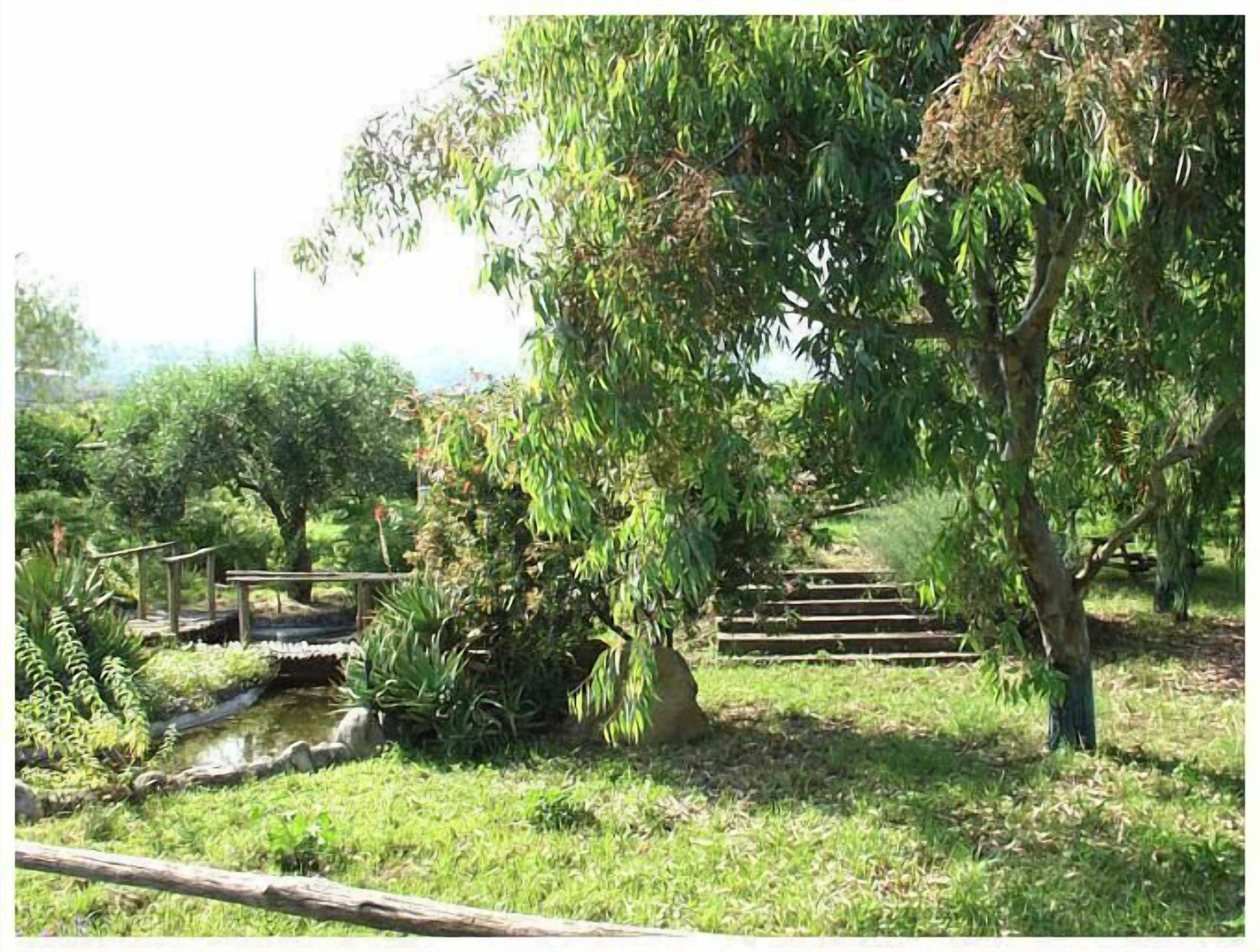 Gift card for Codavolpe Giardino di Tea Gift card for Codavolpe Giardino di Tea