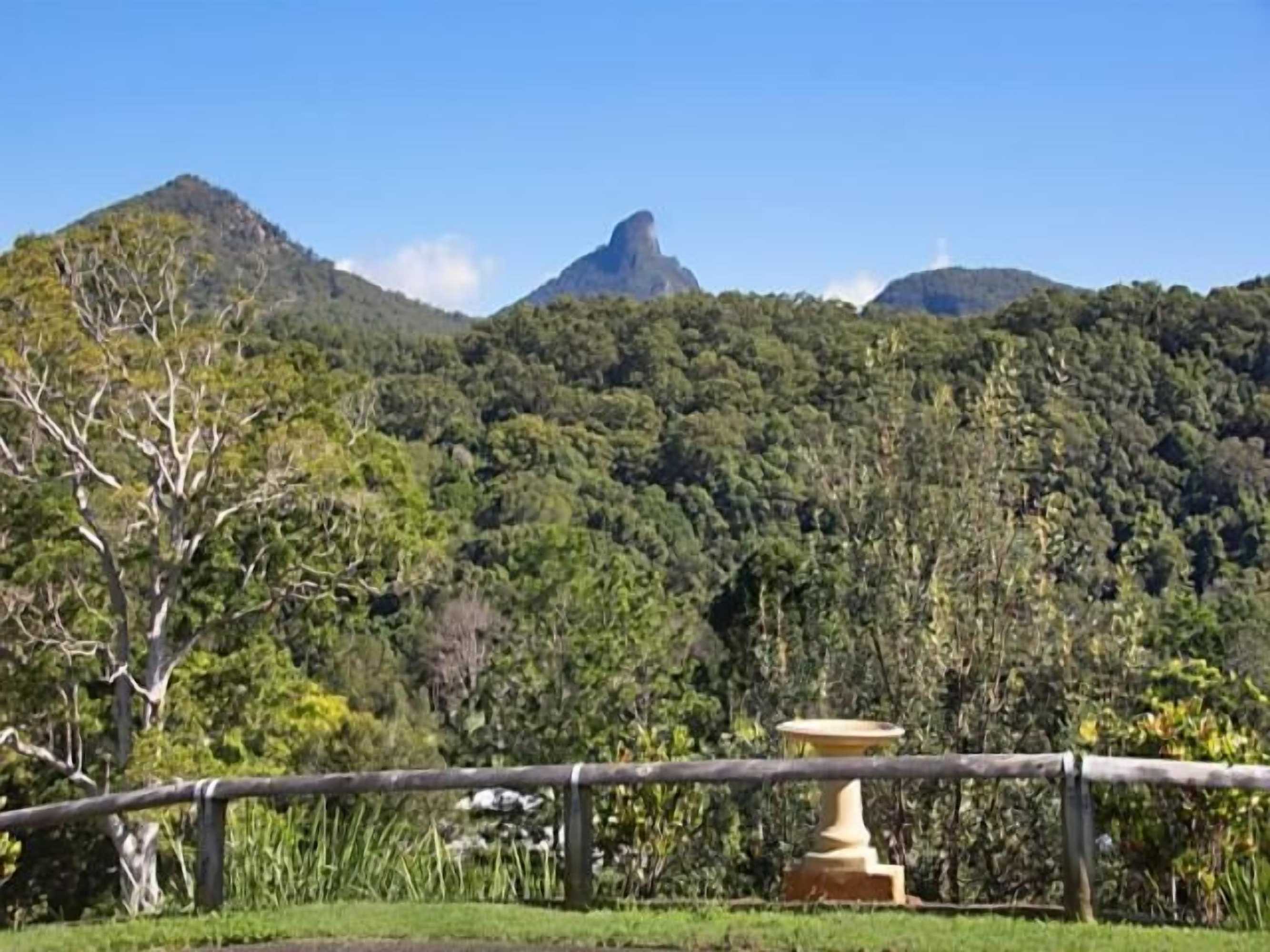 Gift card for A View of Mt Warning B&b Gift card for A View of Mt Warning B&b
