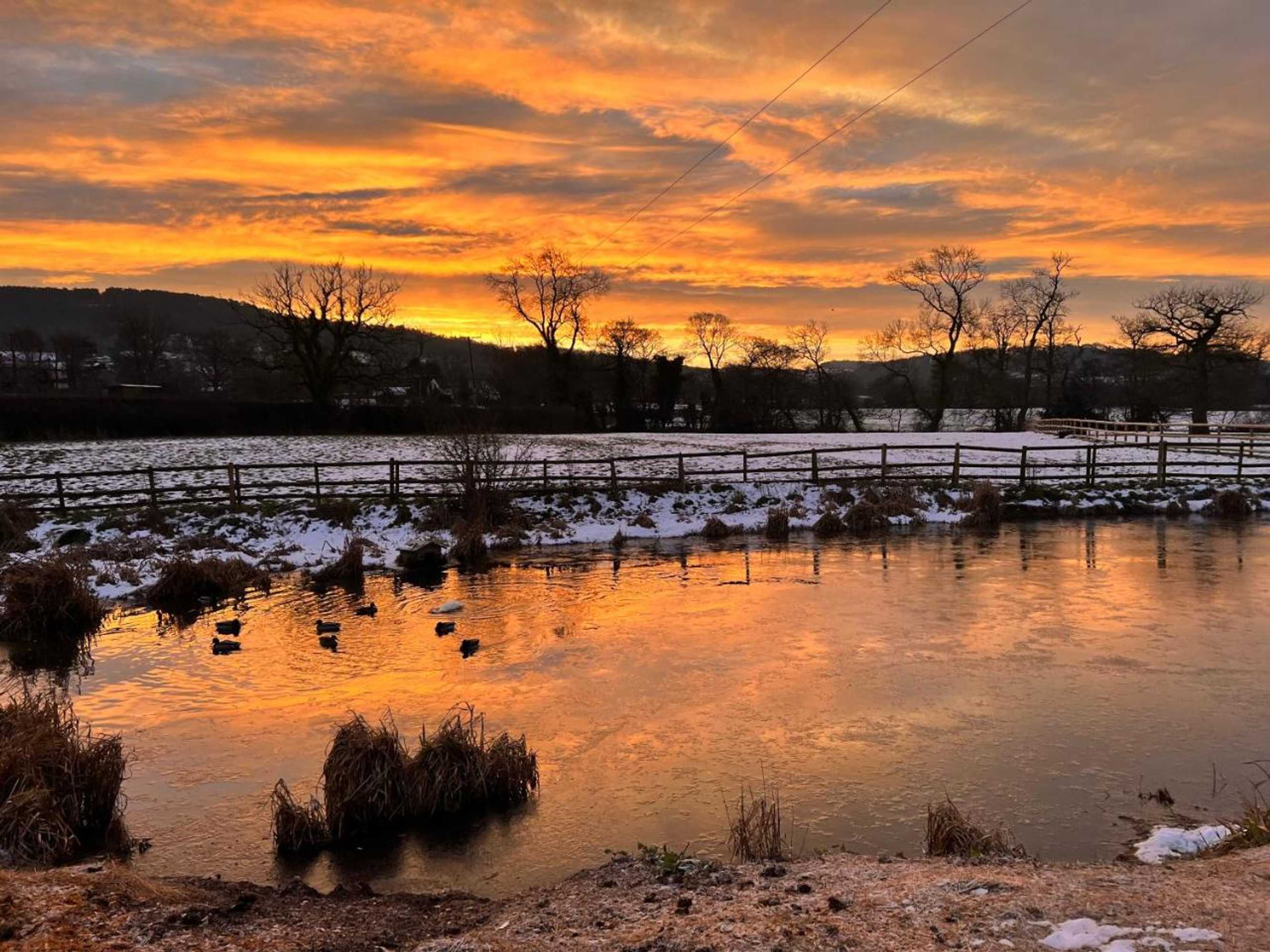 Gift card for The Saddlery Cheshire