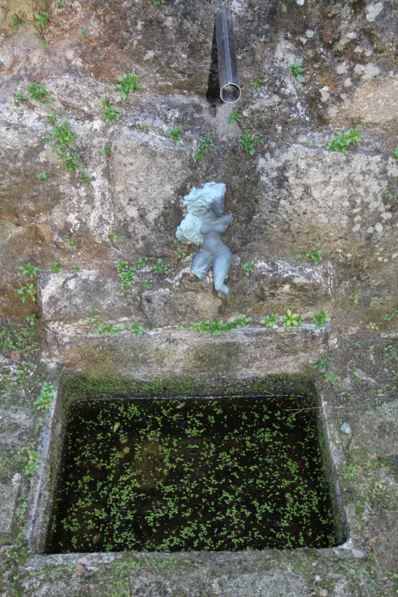 Gift card for Casa Rio Vez - Riverfront