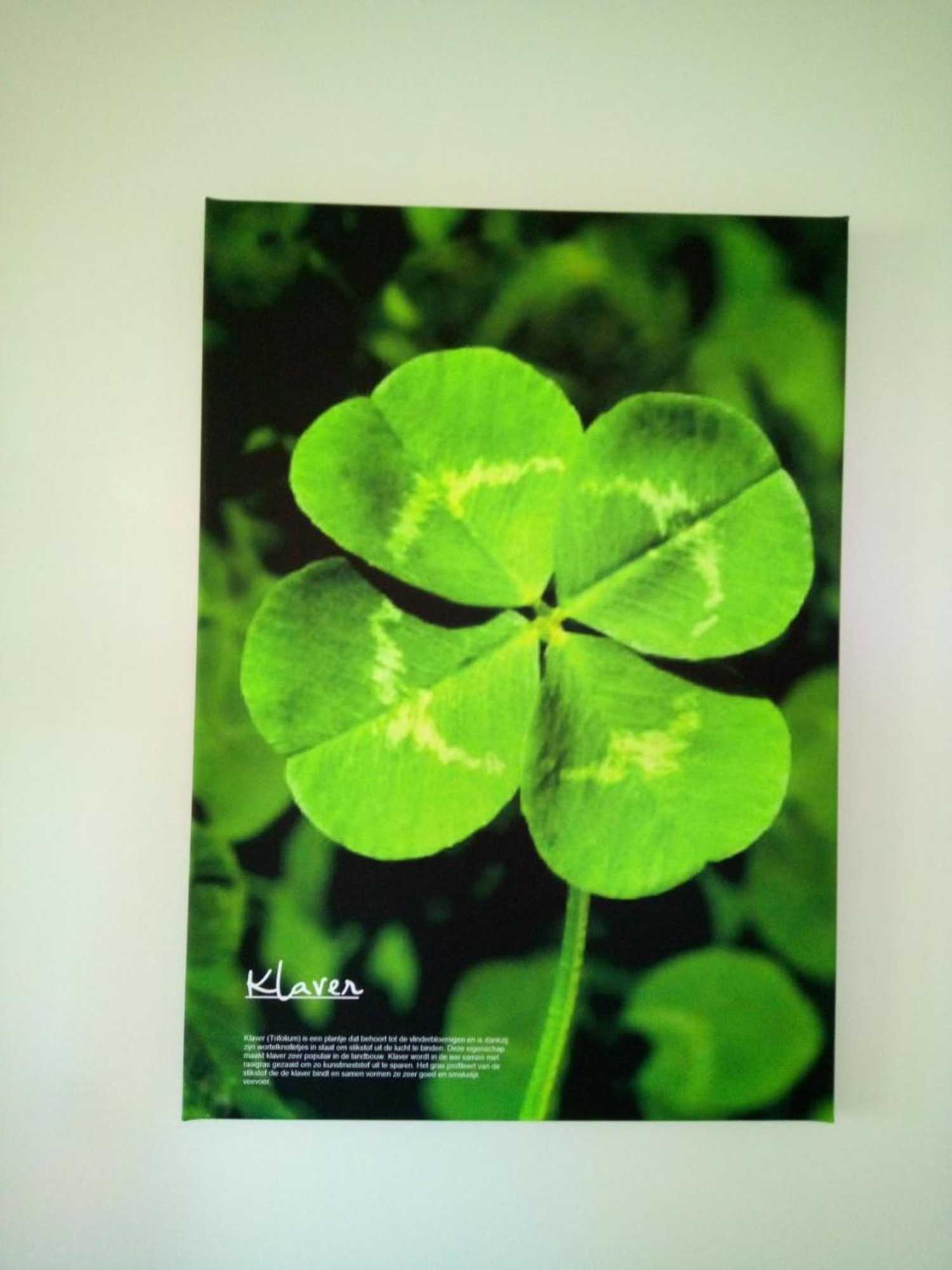 Gift card for B&b In de Wei