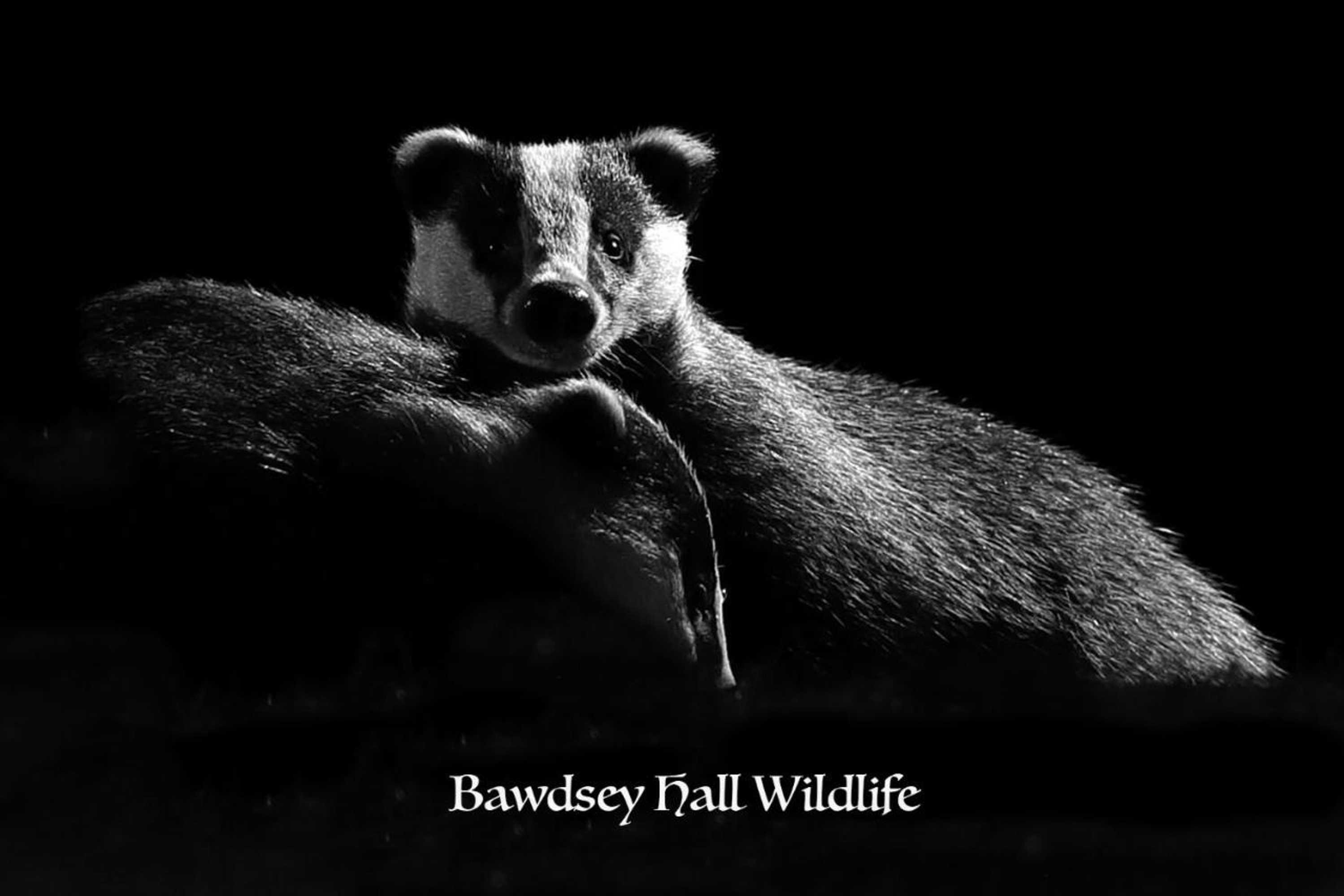 Gift card for Bawdsey Hall