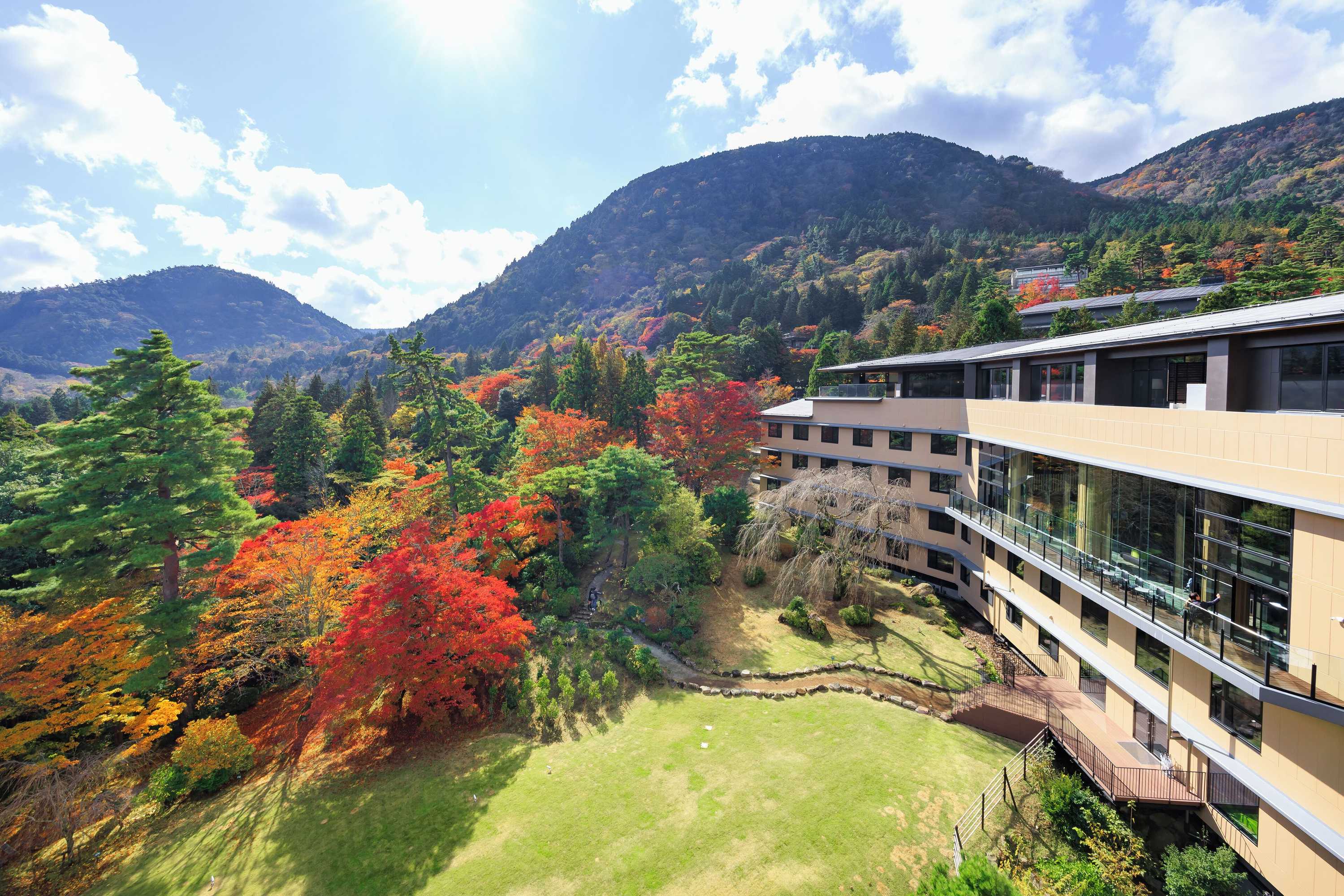 Gift card for Hakone Kowakien