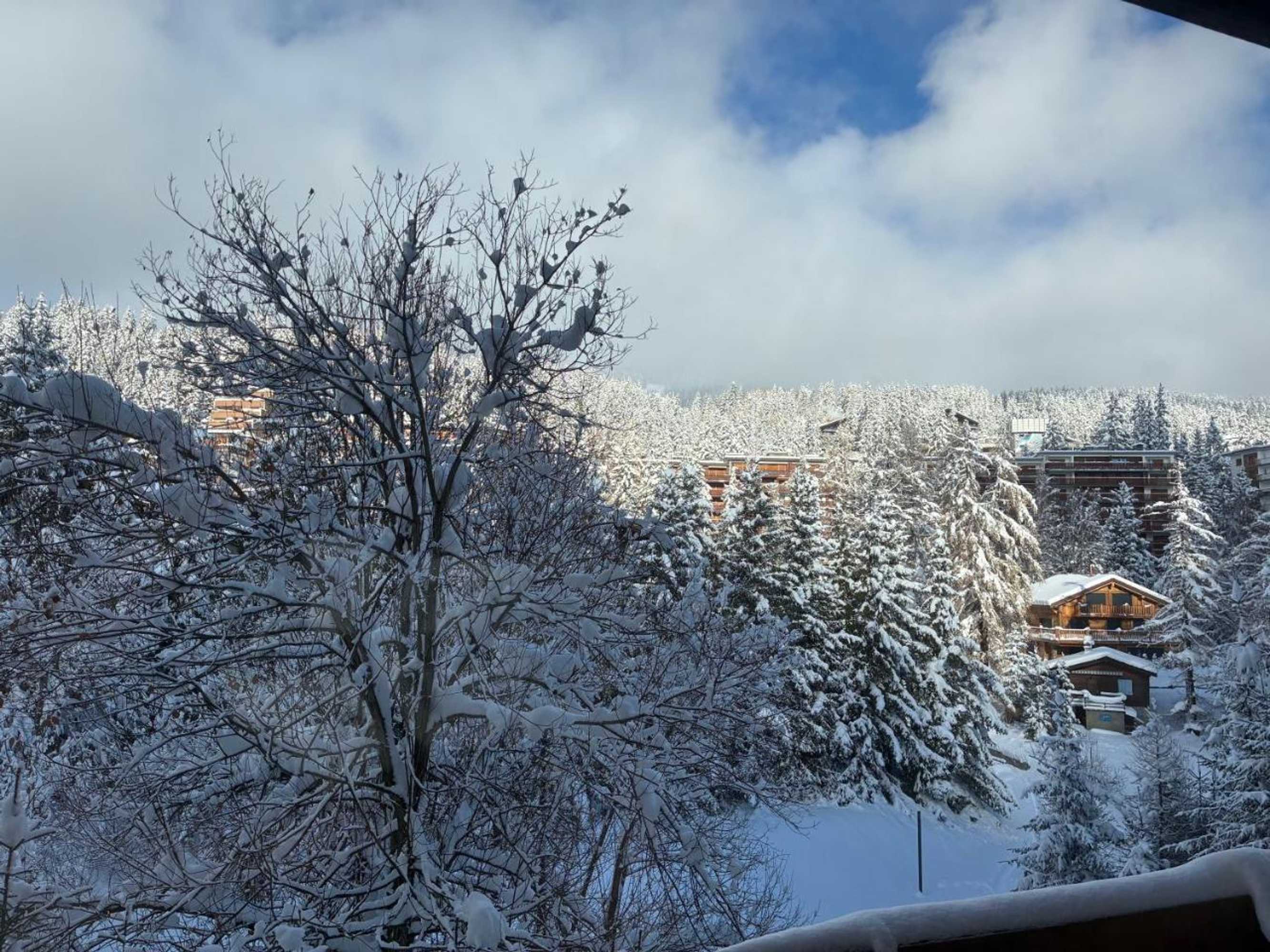 Gift card for Sport Palace