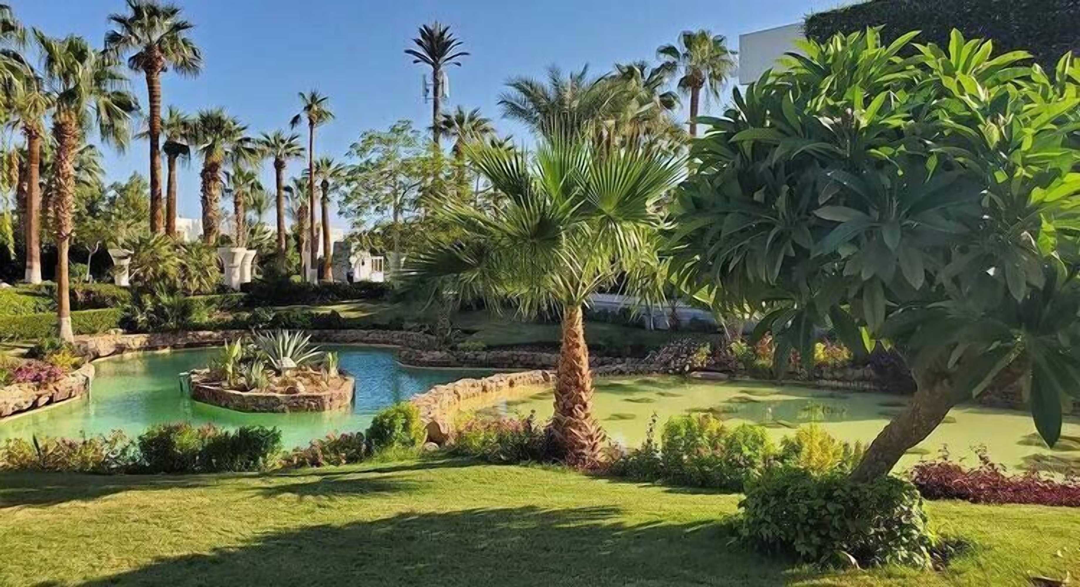 Gift card for Monte Carlo Sharm Resort & Spa Gift card for Monte Carlo Sharm Resort & Spa