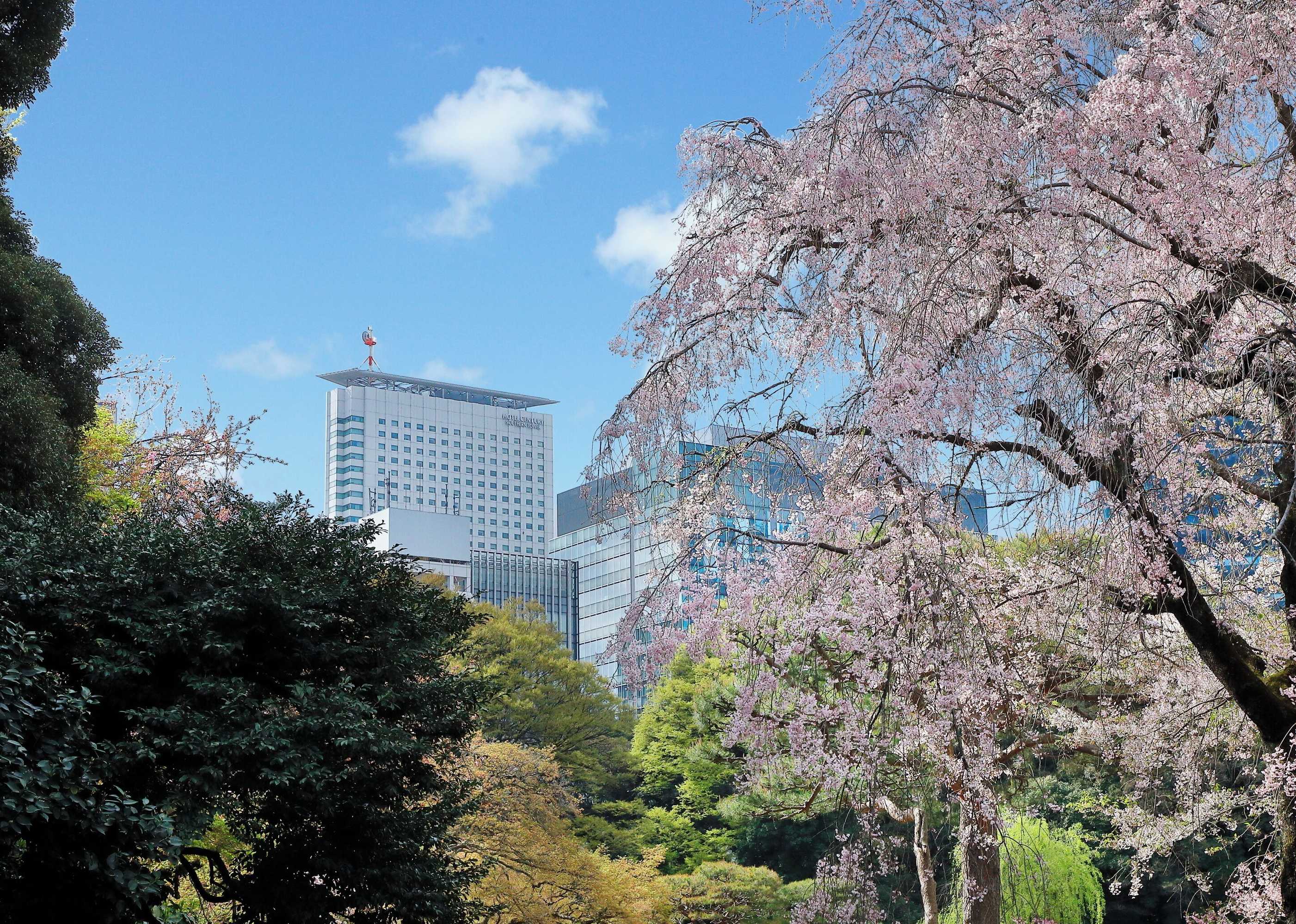 Gift card for Century Southern Tower Hotel