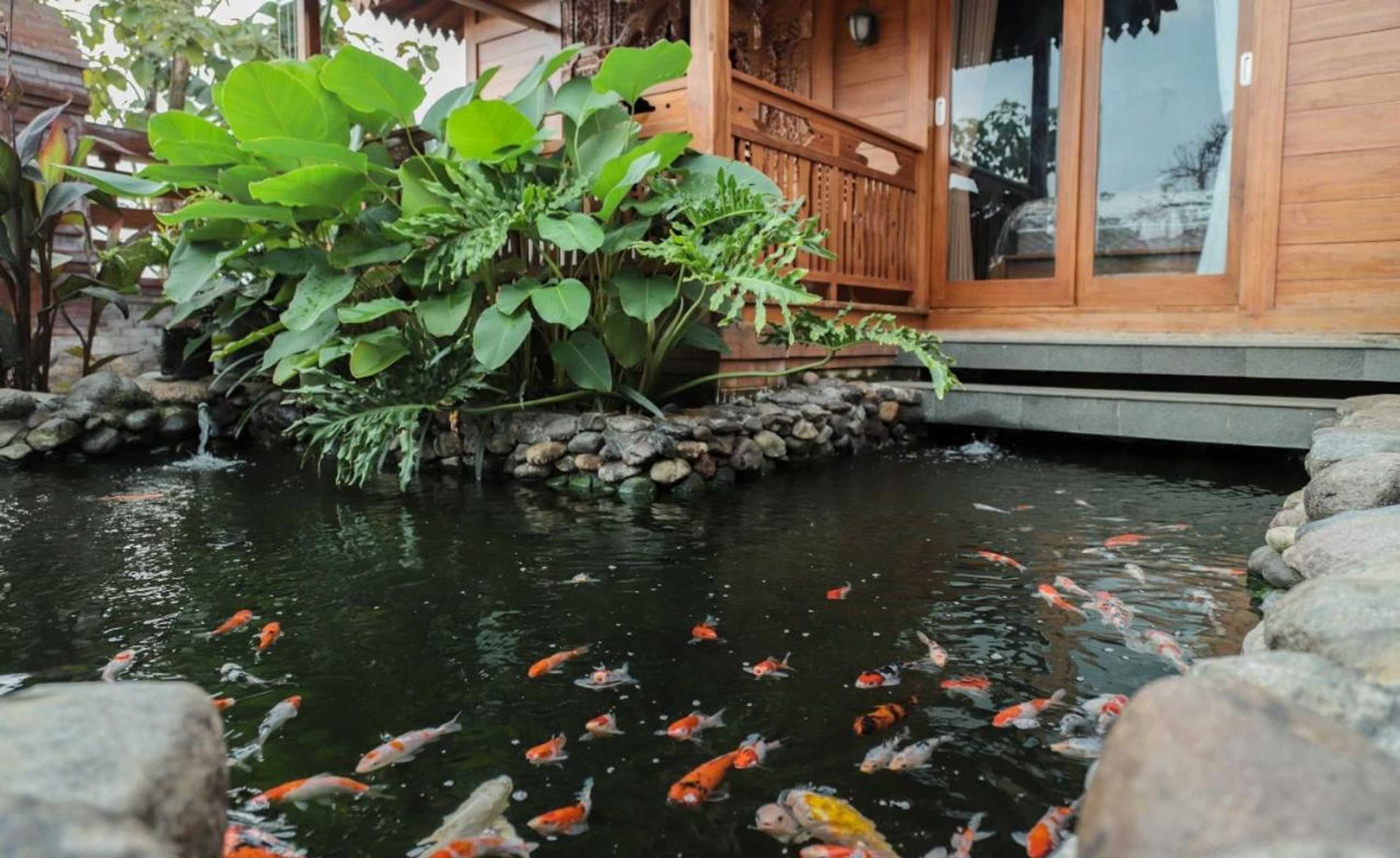 Gift card for Joglo Jawa Jepara Gift card for Joglo Jawa Jepara