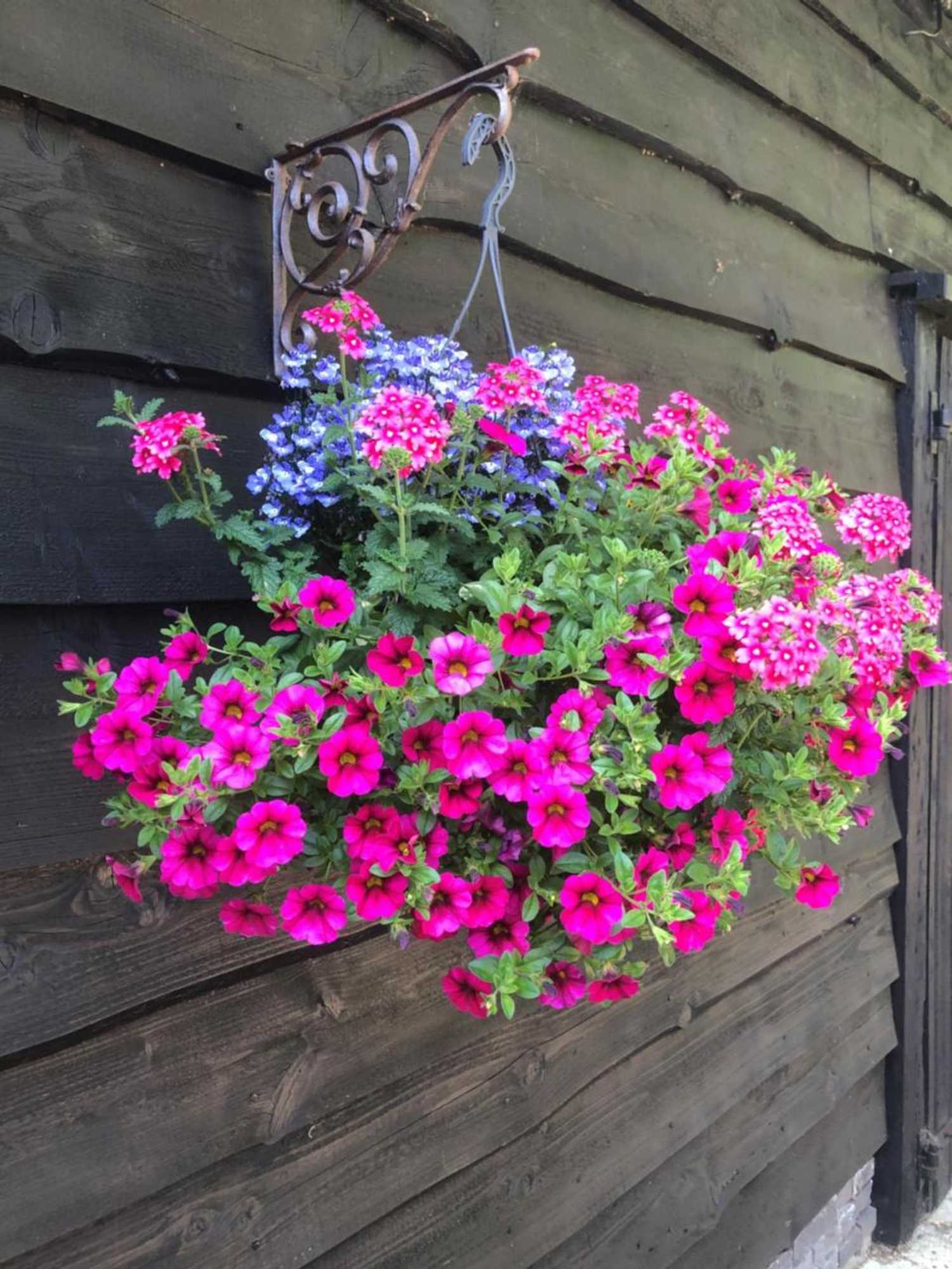 Gift card for B&b de Tuinfluiter