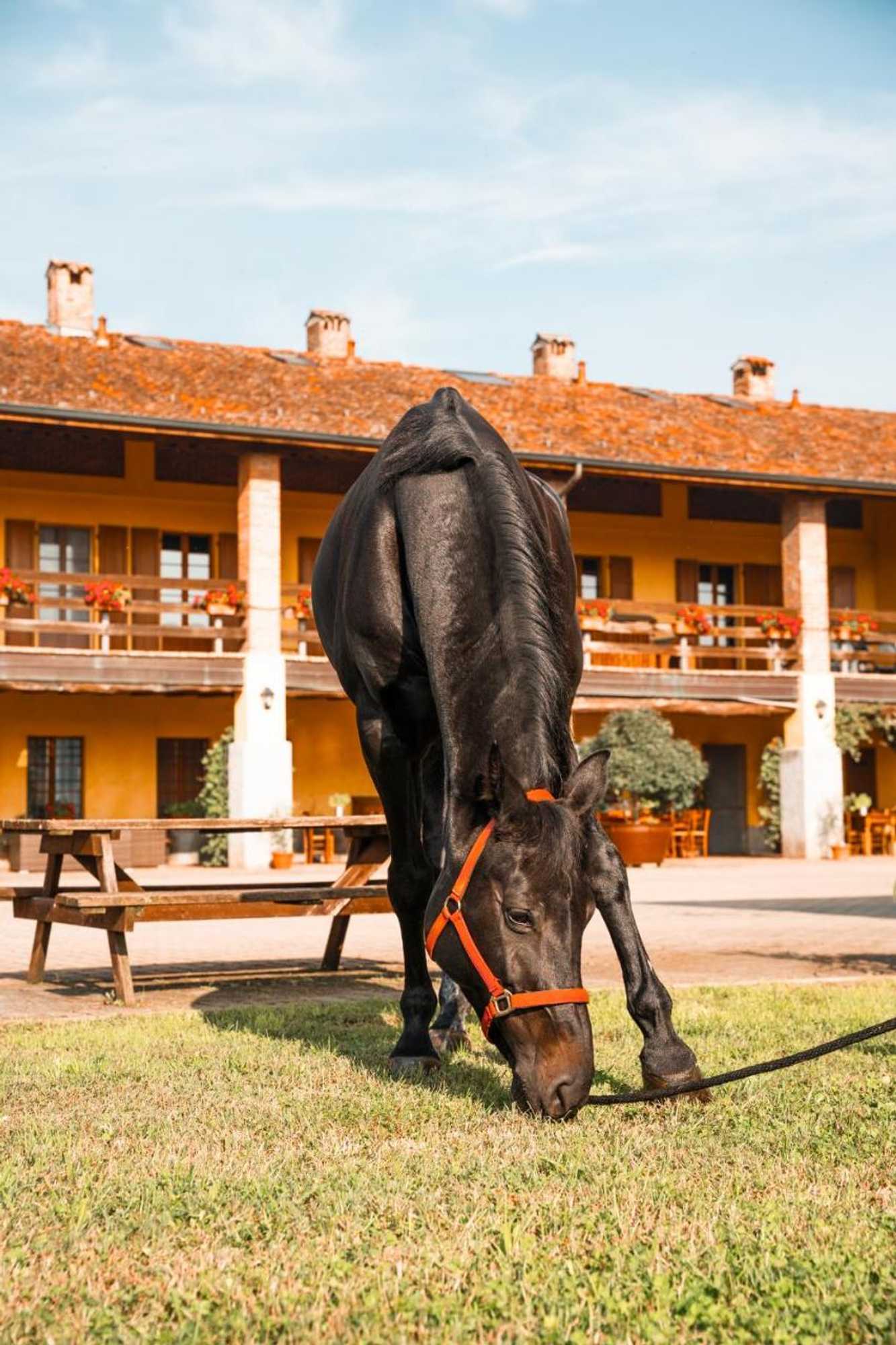 Gift card for Agriturismo Bassanella