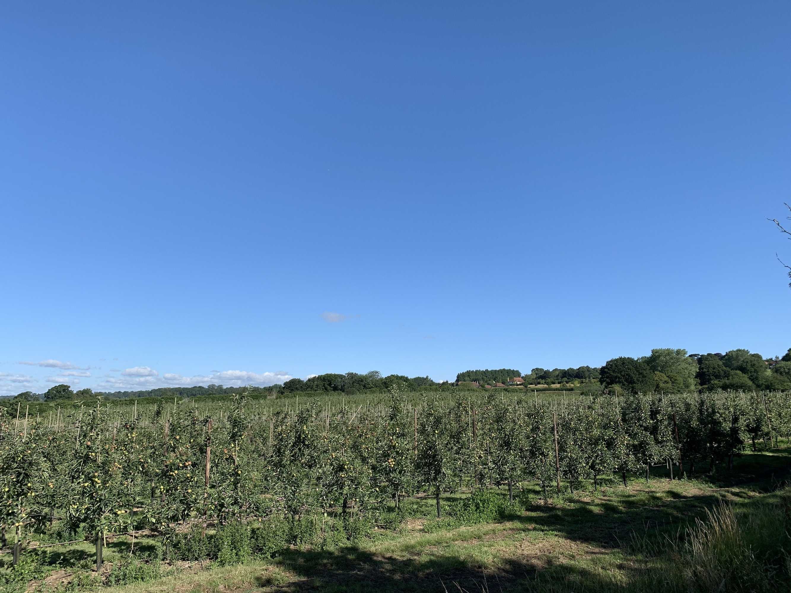 Gift card for Blackberry Cottage