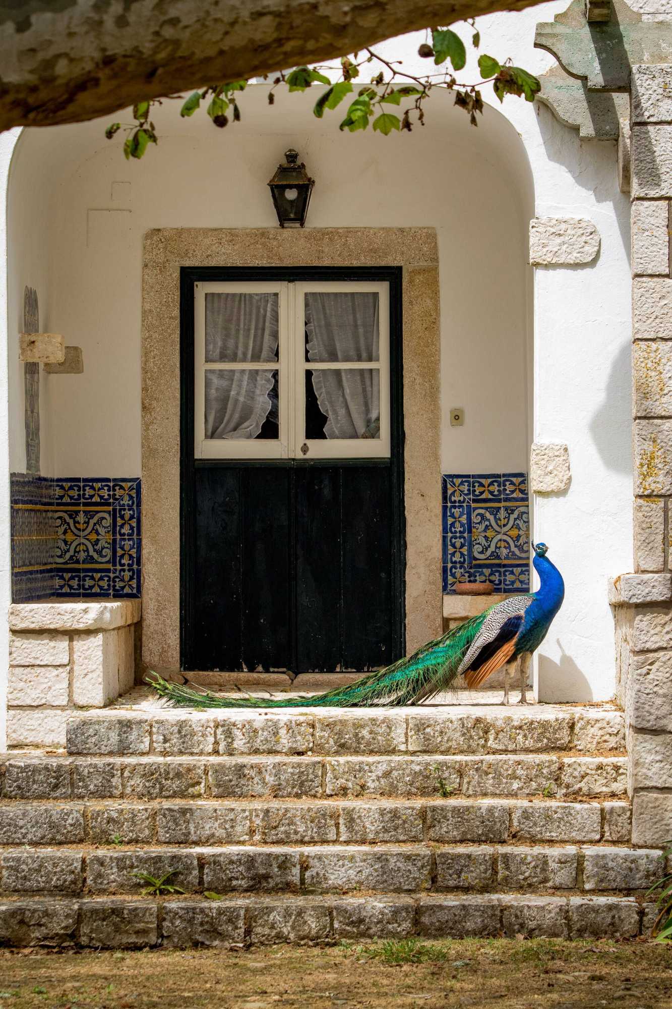 Gift card for Quinta da Foz