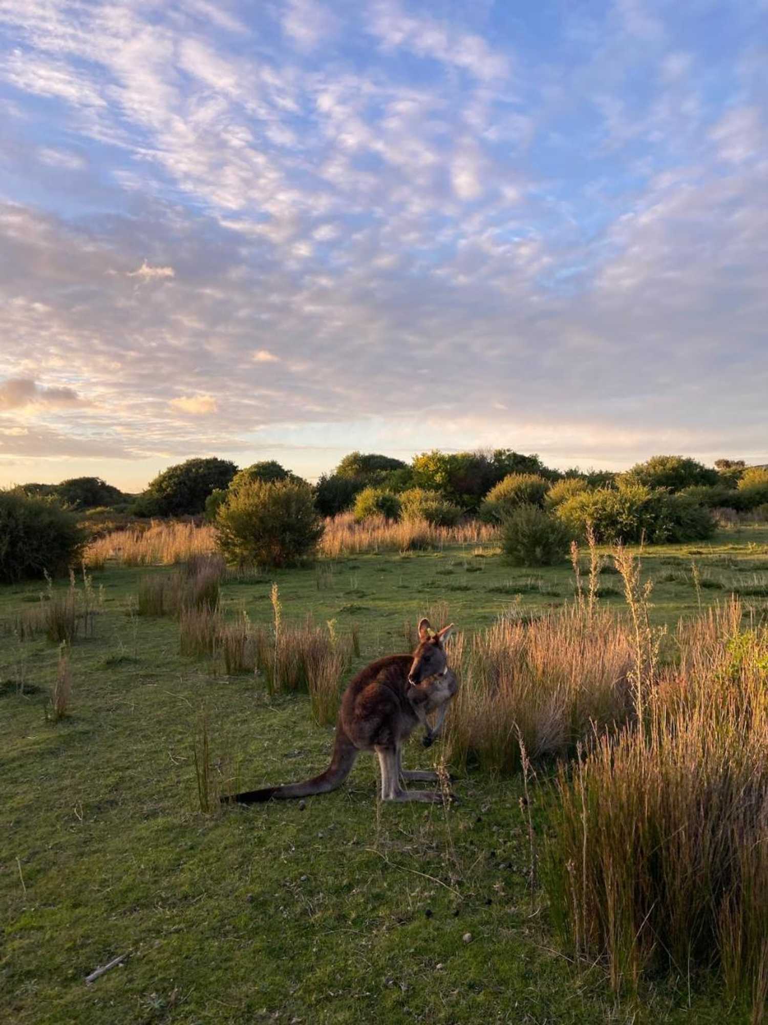 Gift card for River Drive Motel