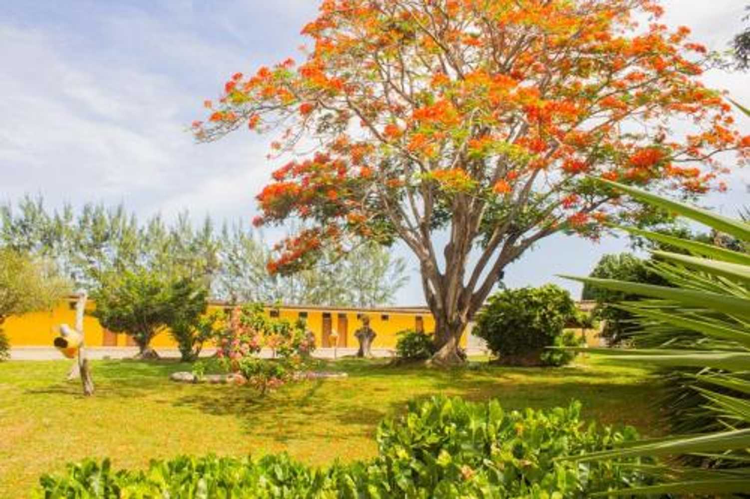 Gift card for Hotel Parque do Sol