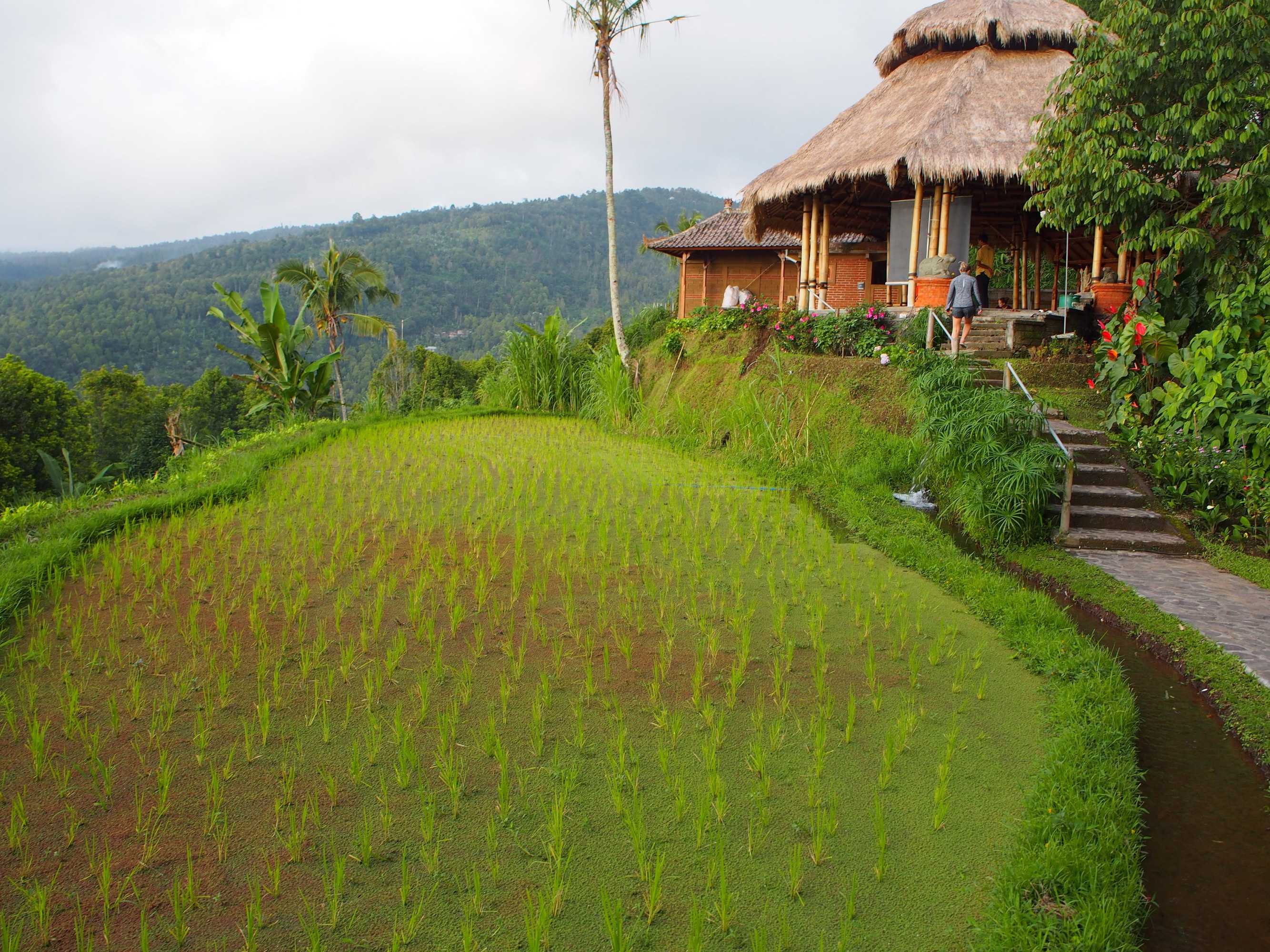 Gift card for Puri Lumbung Cottages, Restaurant & Spa Gift card for Puri Lumbung Cottages, Restaurant & Spa