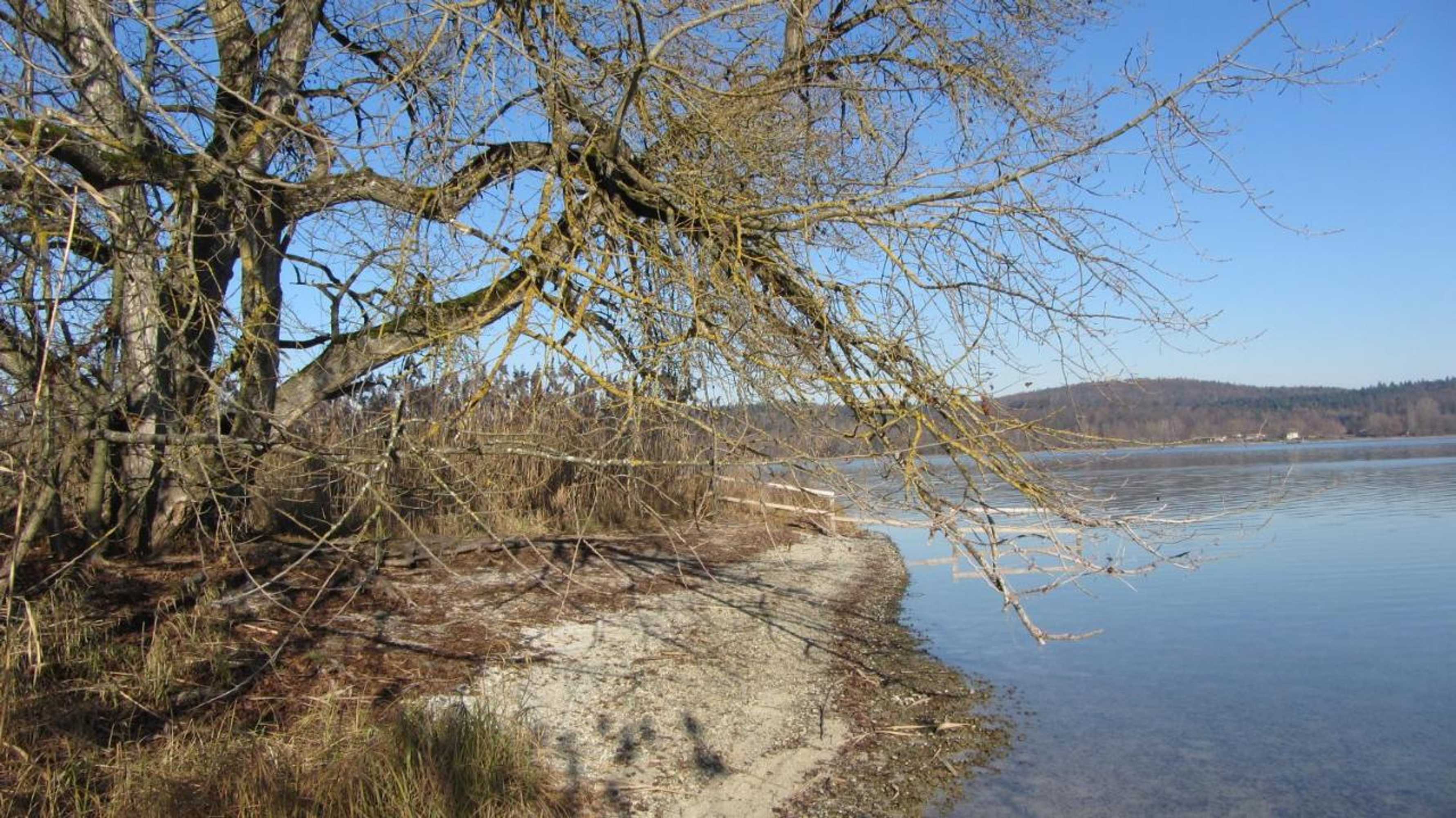 Gift card for Hotel Christine