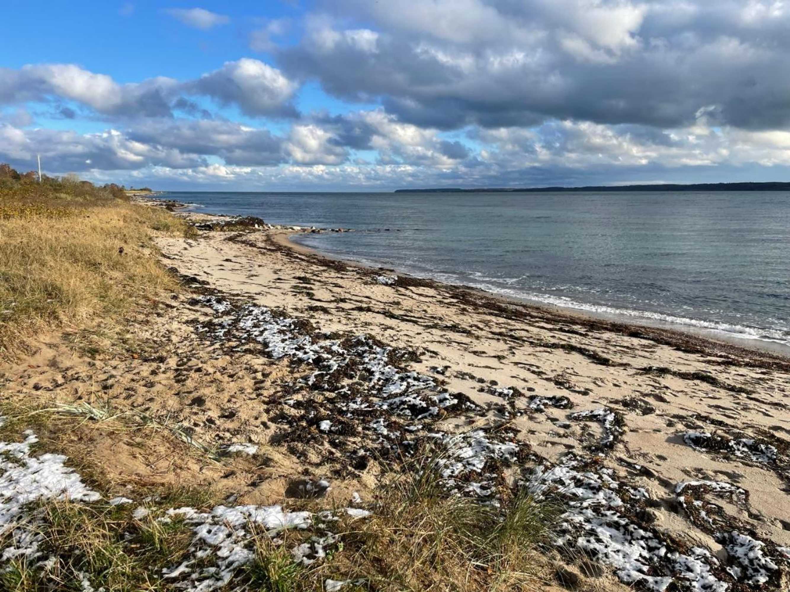 Gift card for Gut Hohenstein