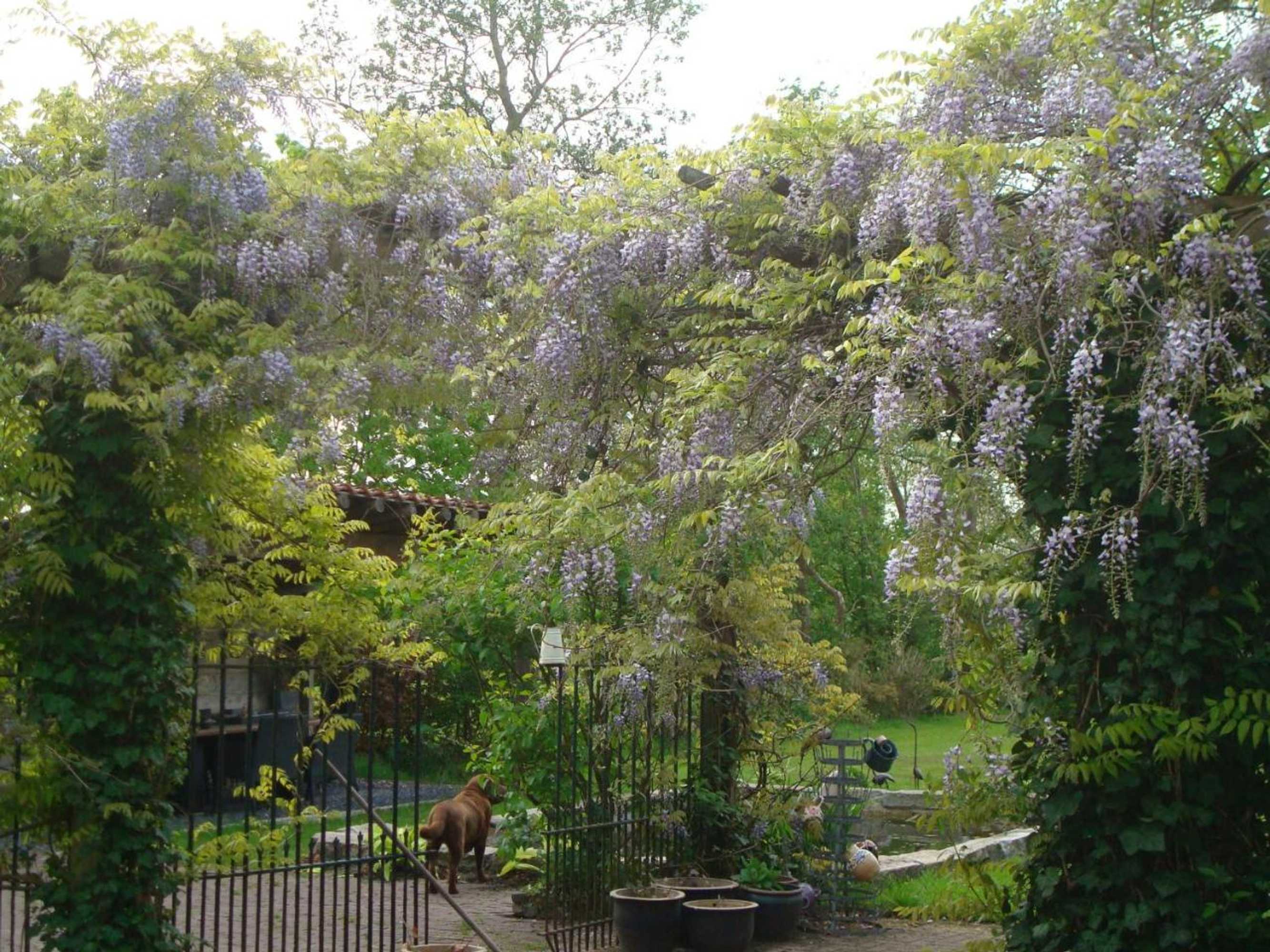 Gift card for B&b De Lotus