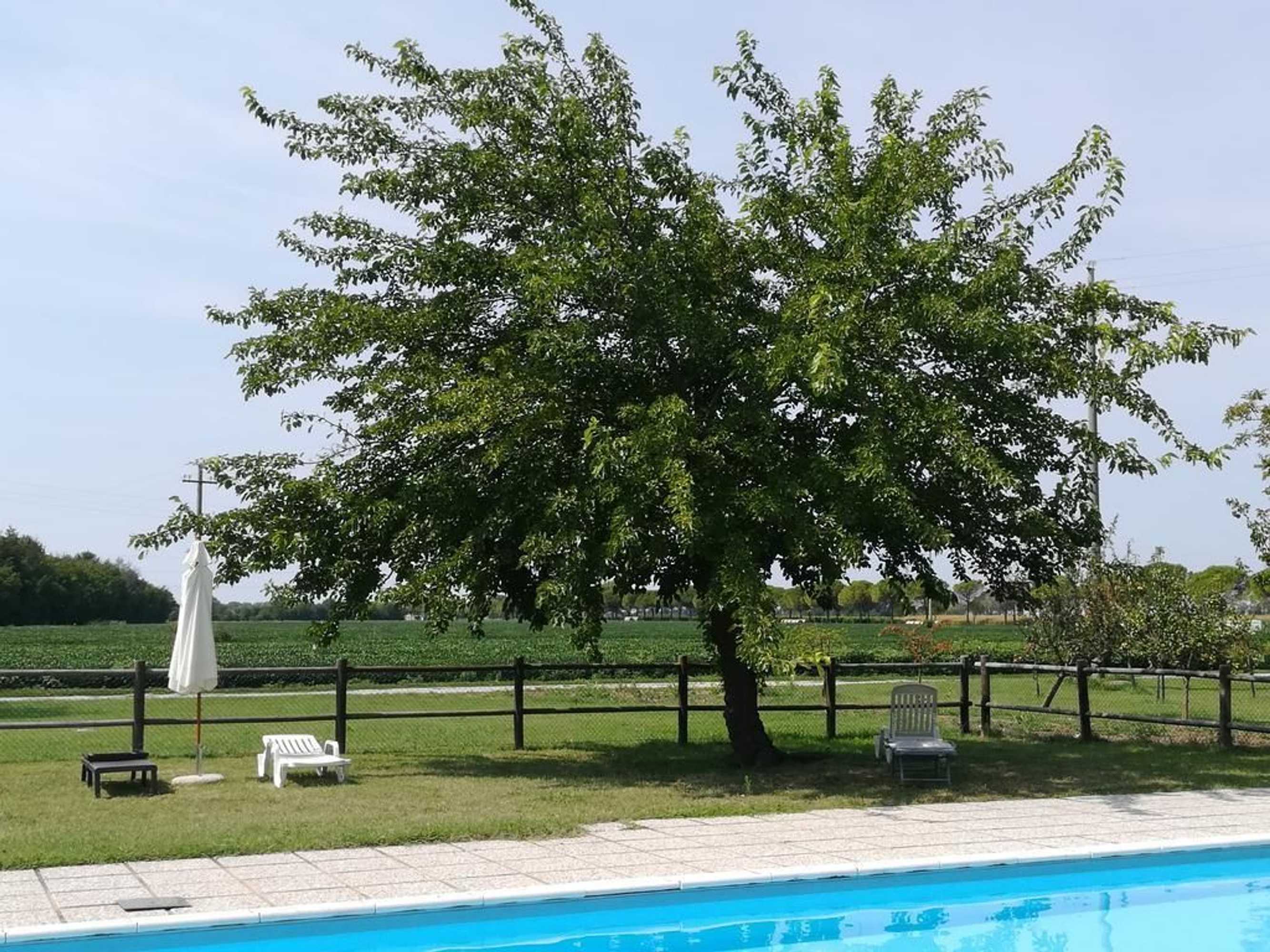 Gift card for Agriturismo Ai Due Leoni Gift card for Agriturismo Ai Due Leoni