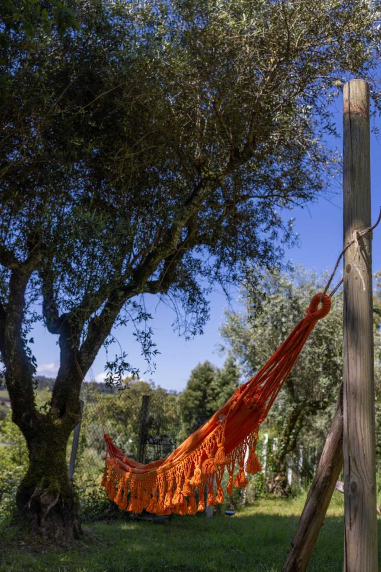 Gift card for Magnolias Cottage