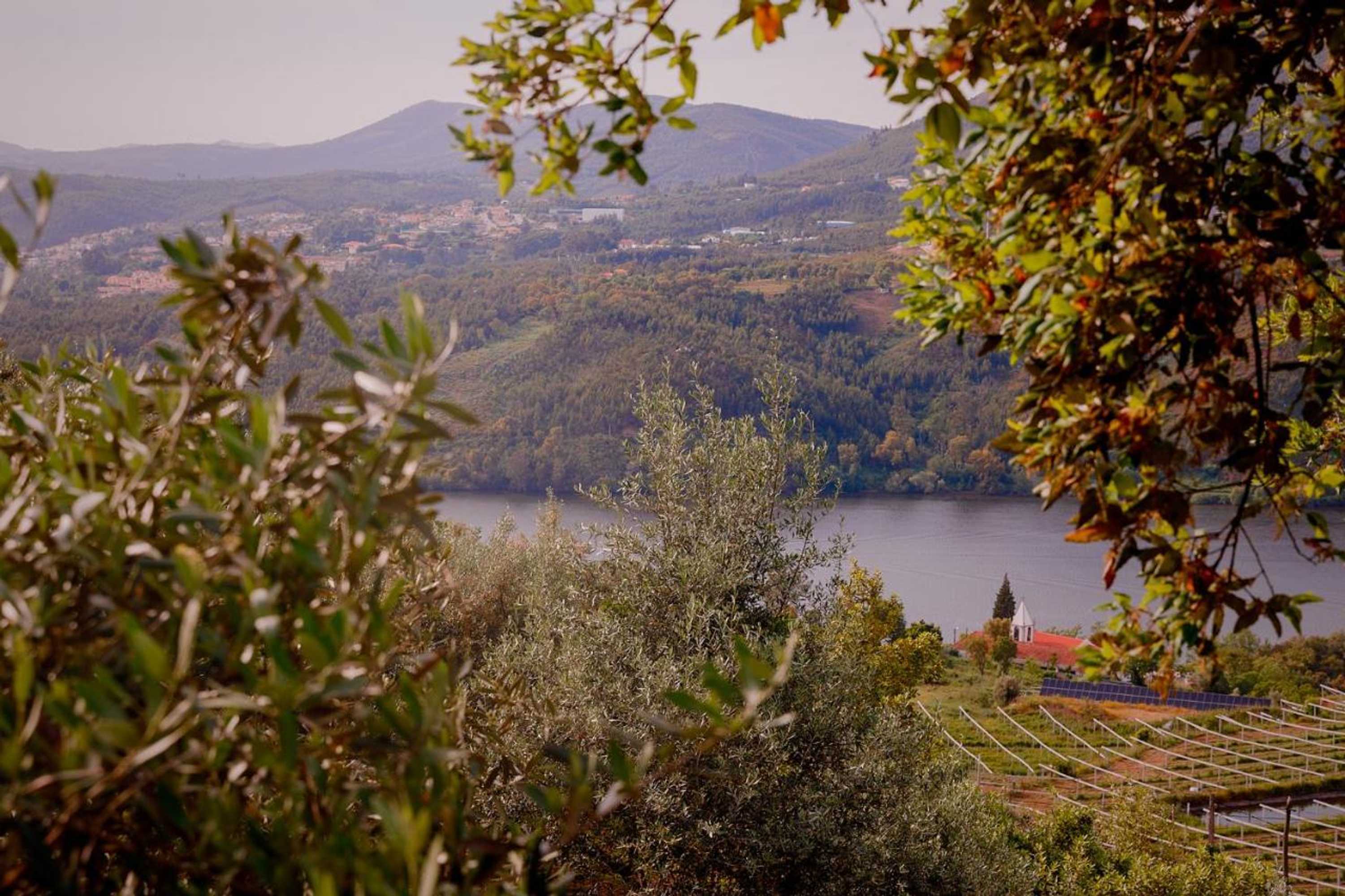 Gift card for Arrabia Guest Houses Glamping