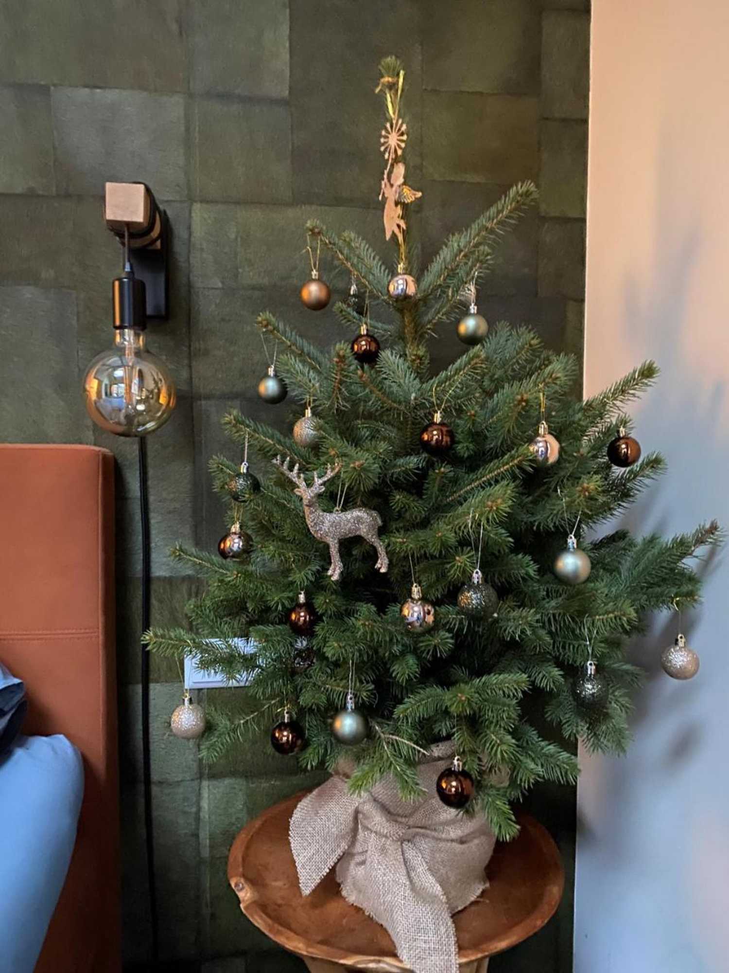 Gift card for B&b Forrest